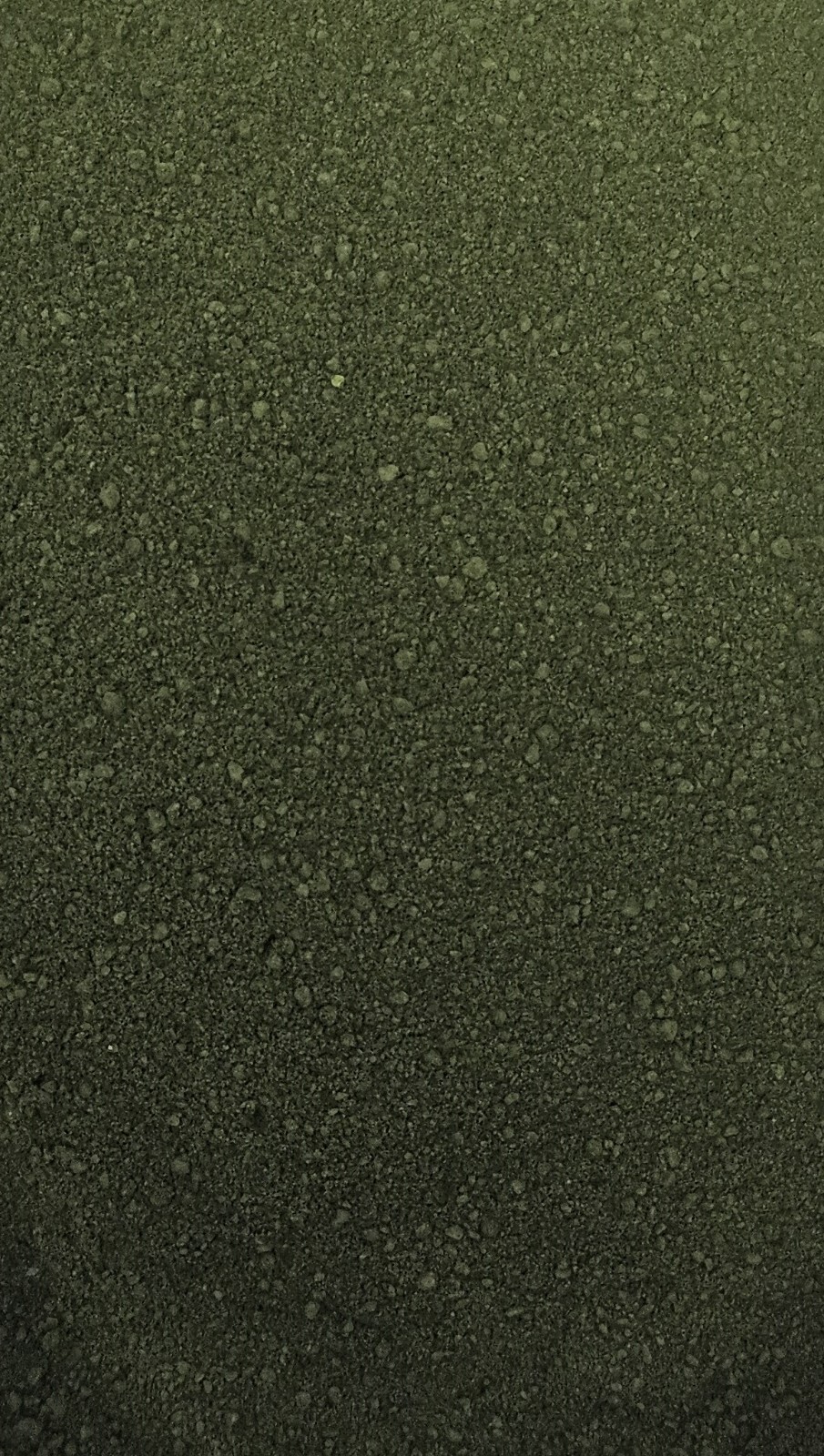 Wrights Stain, 25g