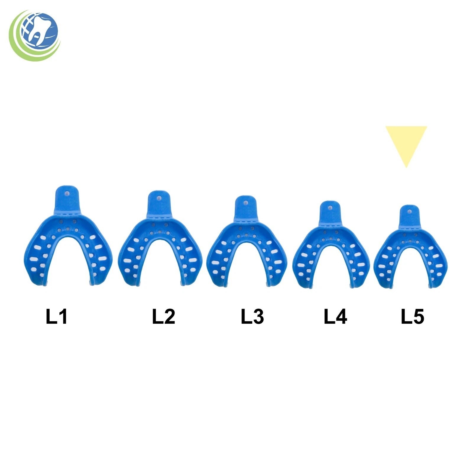 12 X Dental Plastic Edentulous Disposable Impression Trays Autoclavable U & L