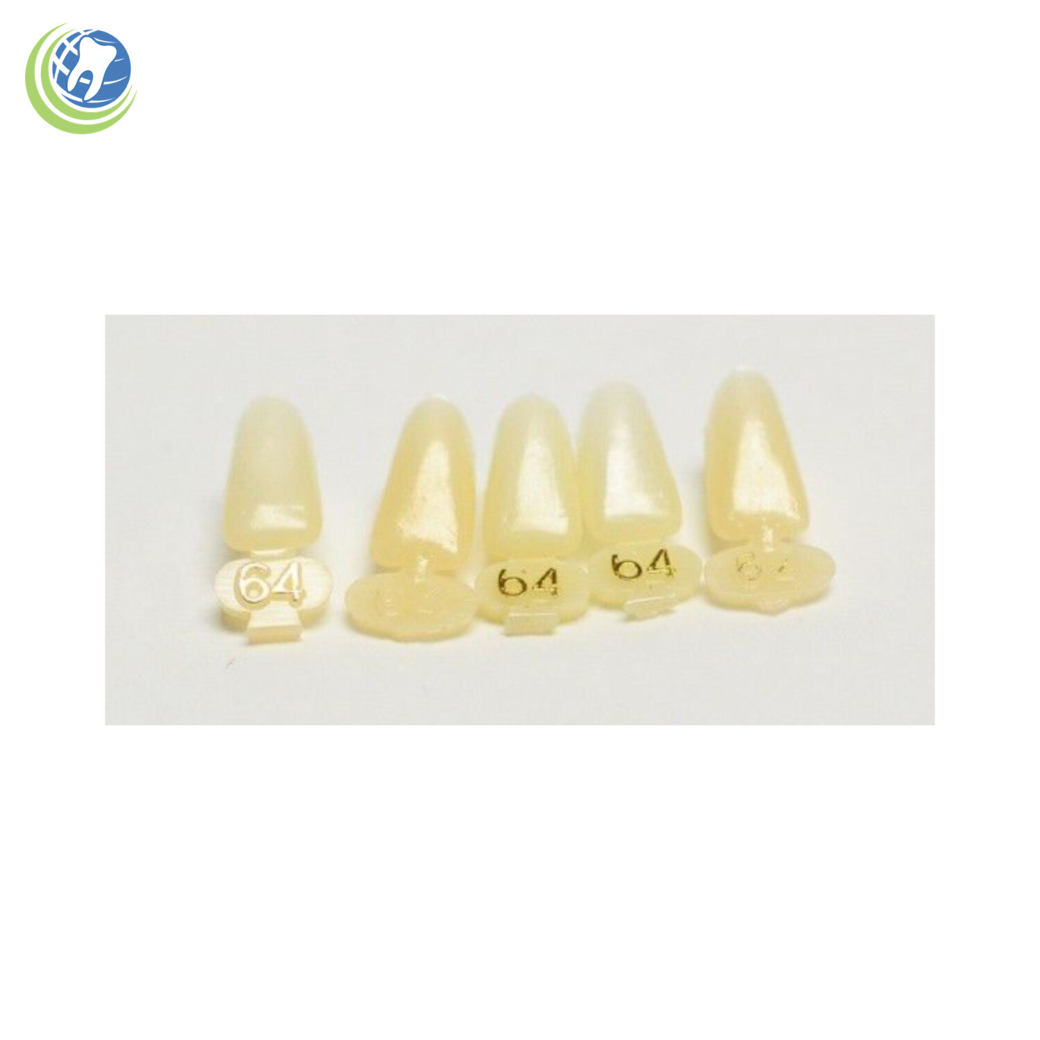 Tooth #23, 24, 25 or 26 Tooth Lower Anterior Long Polycarbonate Crown Cap Refill