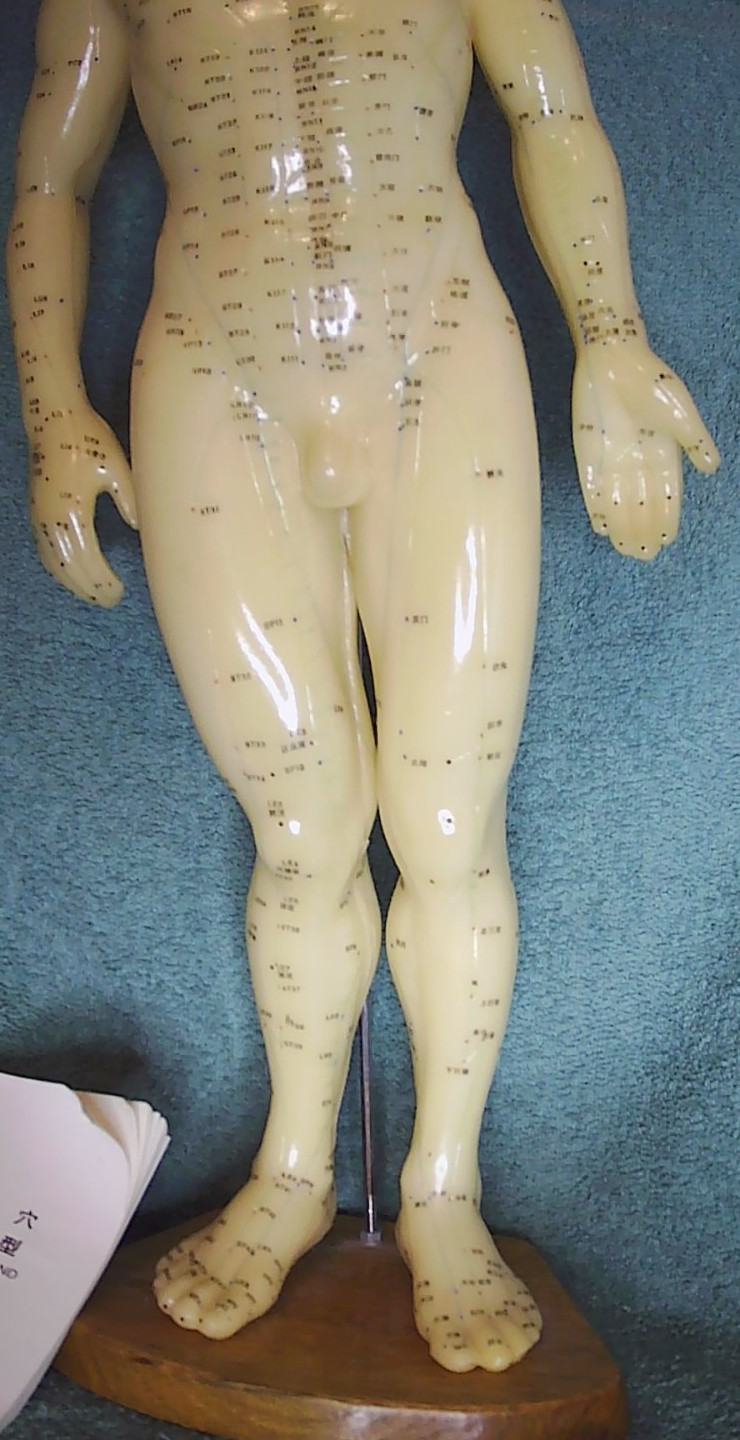 Vintage Chinese Acupuncture Model ~Nude male sculpture~ Science Biology 20″ tall