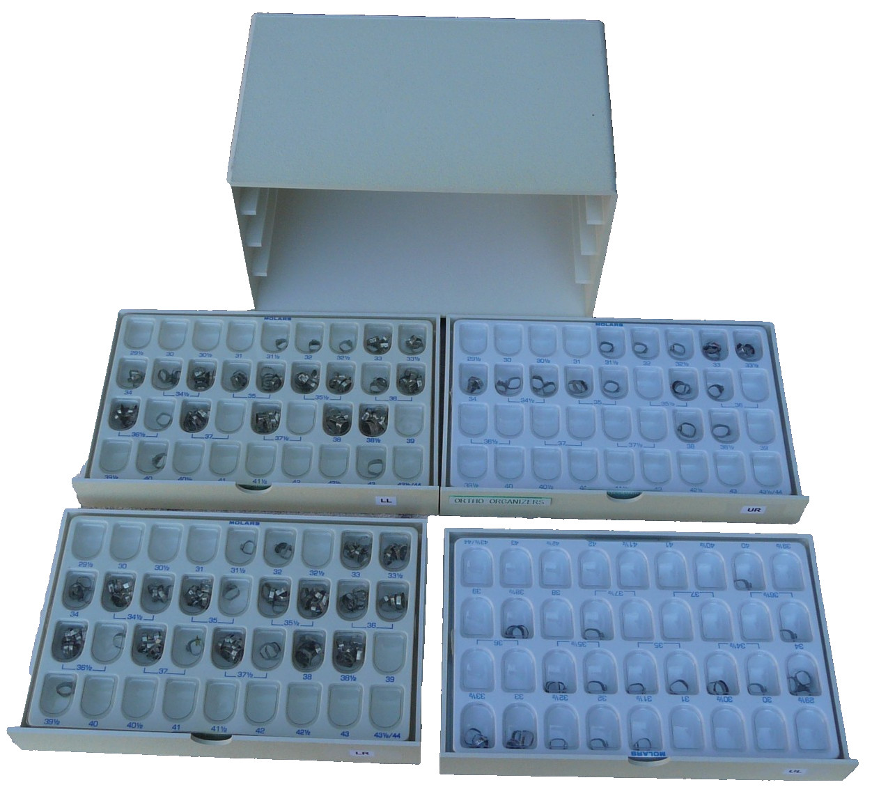 molar bands