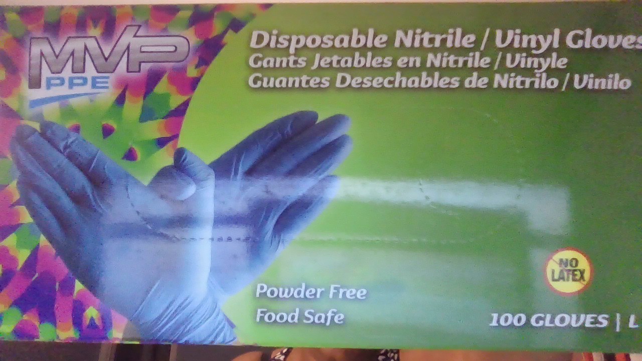 Nitrile Vinyl Disposable Gloves Powder-Free Food Safe 100 Ct Latex-Free, LG