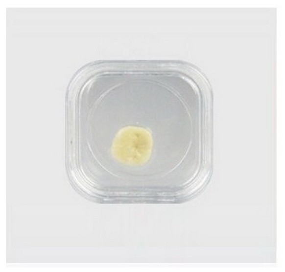 10pcs Denture Teeth Acrylic Membrane Hinged Case Jewelry Storage Box 38*38*17mm