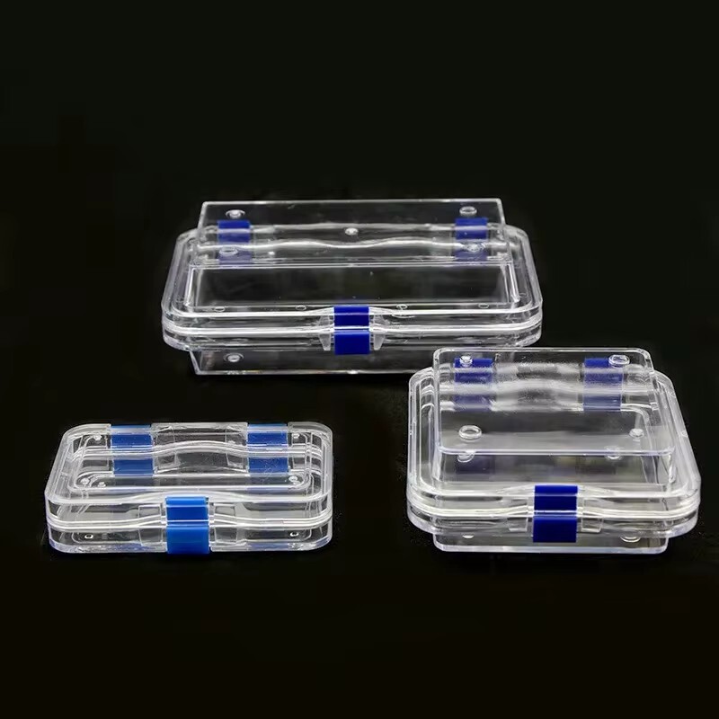 Plastic Dental Box Denture Storage Box with Membrane Hinge Display Jewelry Boxes