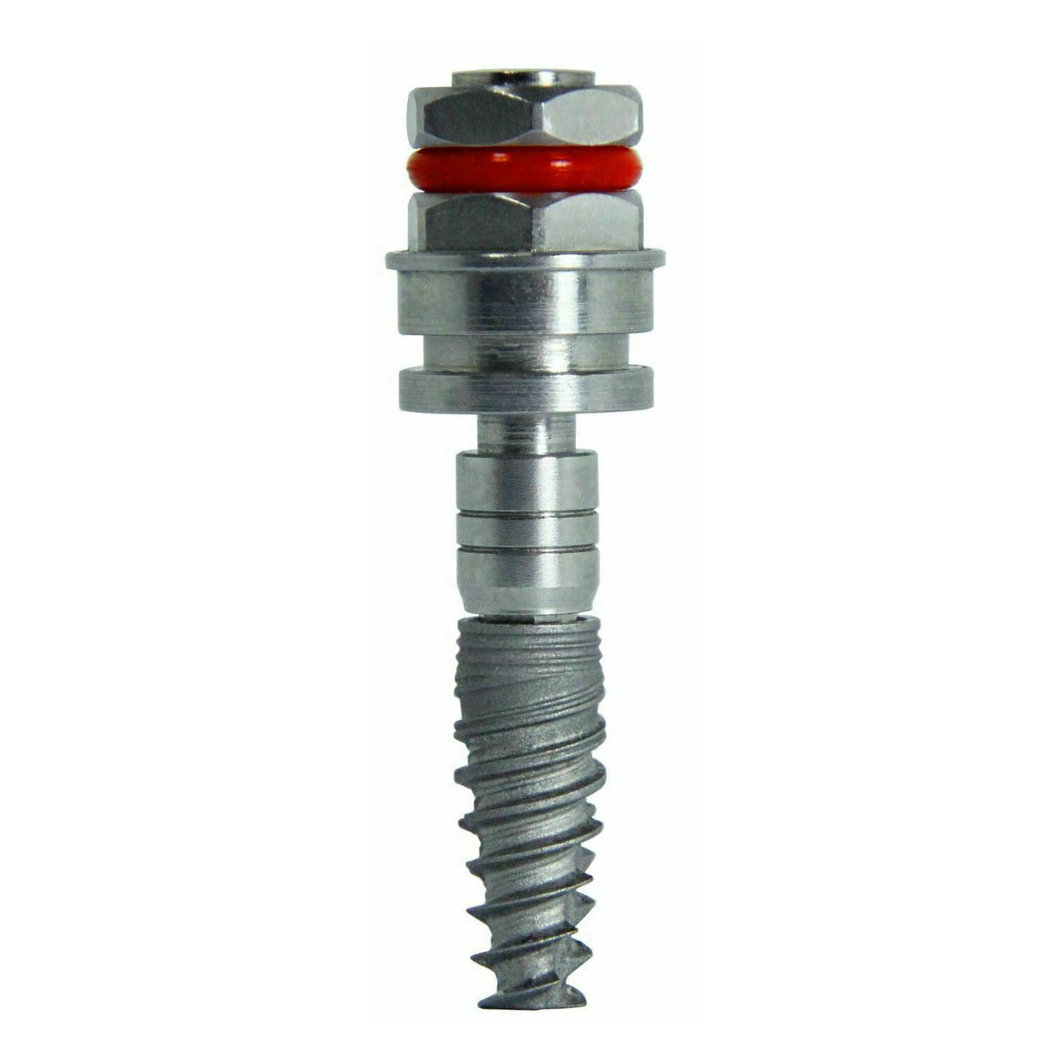 Conical Connection Im pla nt + Straight Abutm ent RP/NP + Temporary Cement Set