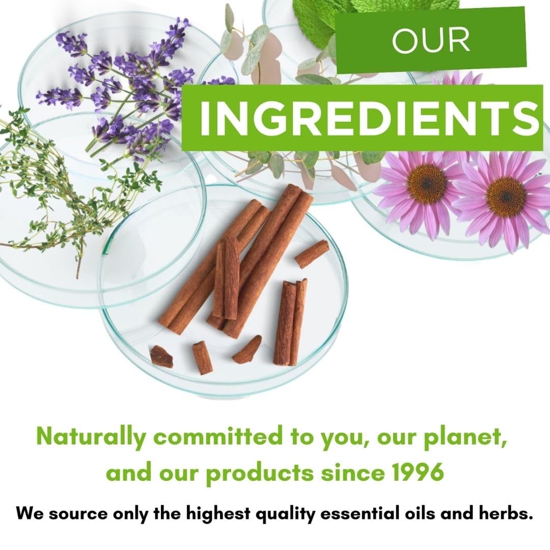 Under The Gums Irrigant Solution – Alcohol-Free, Vegan Herbal Solution for Wa…