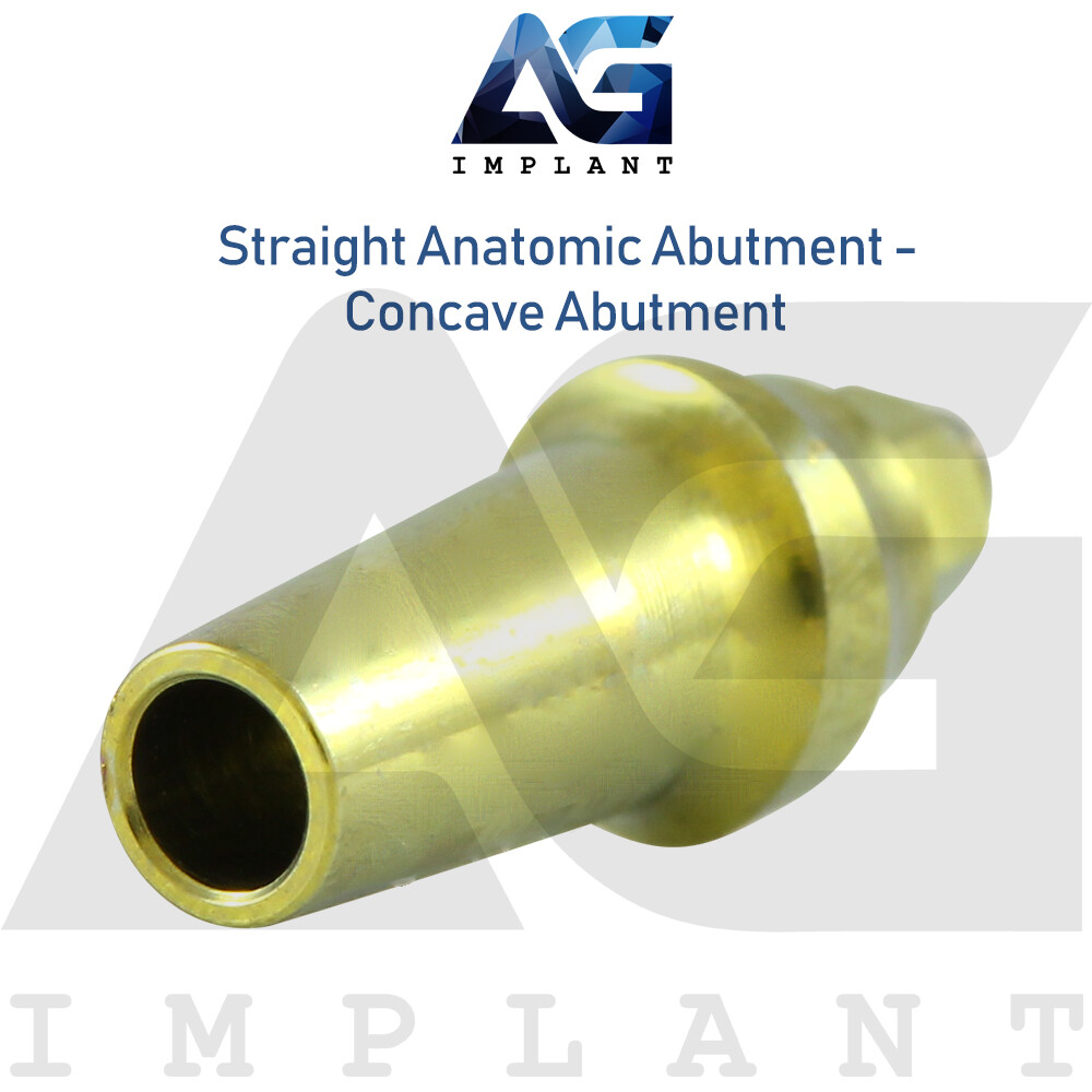 Anatomic Straight Concave Prosthetic System Titanium Int Hex 2.42 Connection