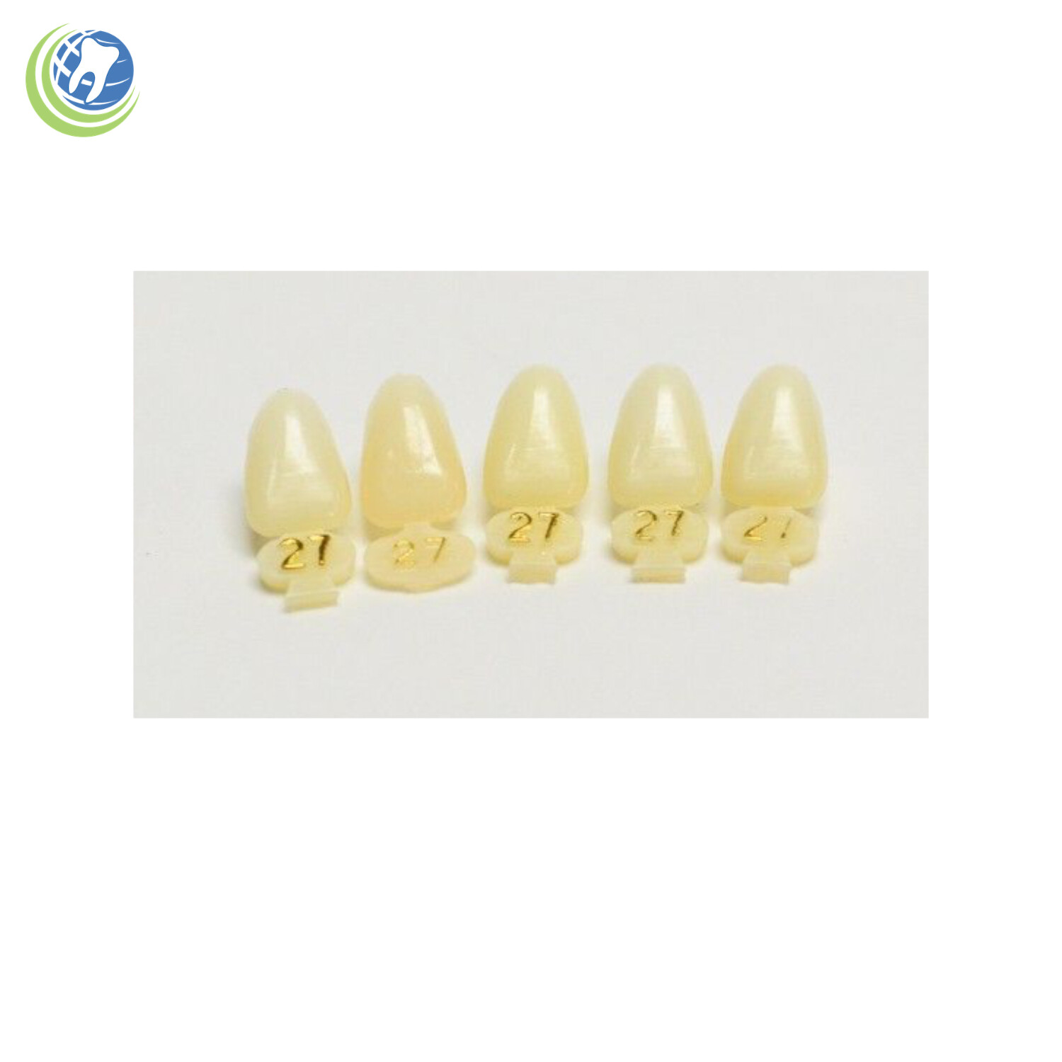 Tooth #10 Upper Left Lateral (ULL) Polycarbonate Temporary Crowns Cap Refills