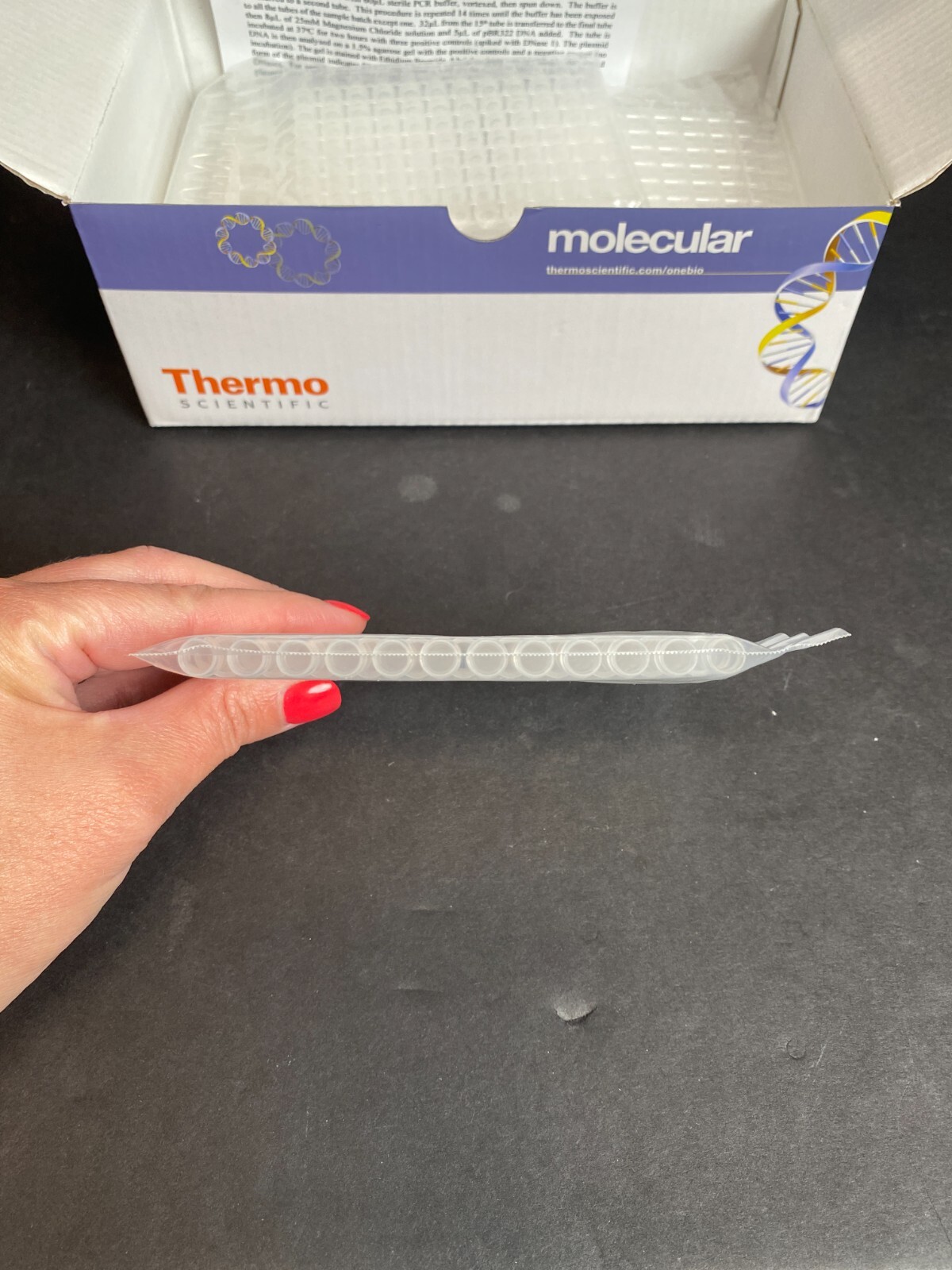 Thermo Scientific 12 Tube Strip Thin Wall with Flat Cap 0.2 ml 90 Strips