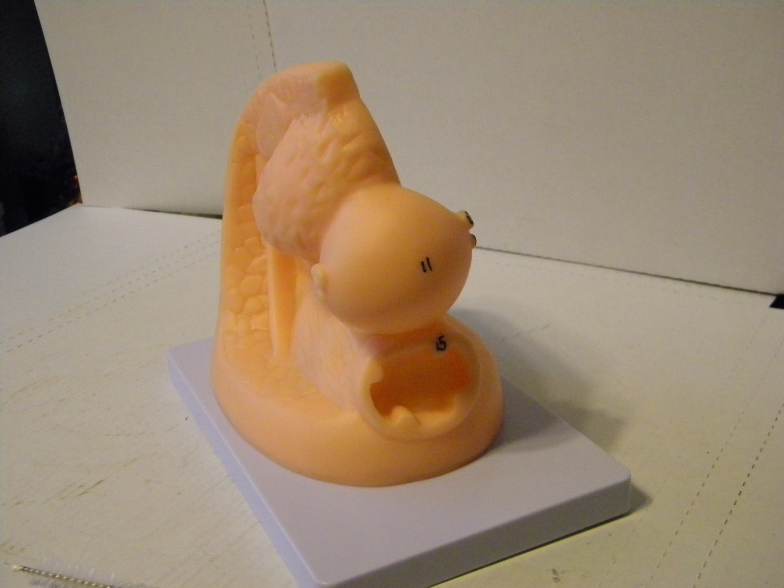 PVC Female Catheter Anatomy Teaching Education Medical Display Model