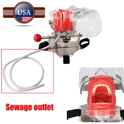 USDental Teaching Head Mold Oral Simulation Simple Fixing Clip Head Mold Student