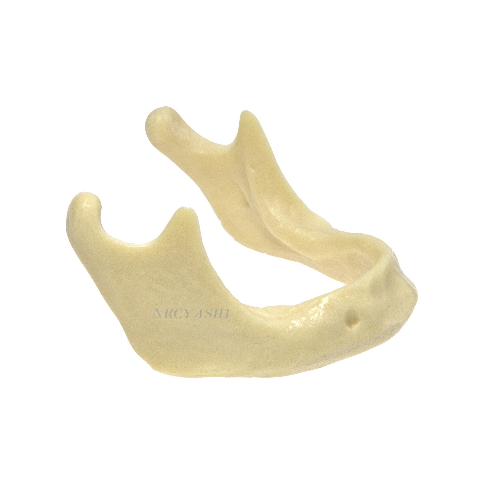 Dental Mandible Jaw Model For Basic Drilling Implant Insertion Practice M2022