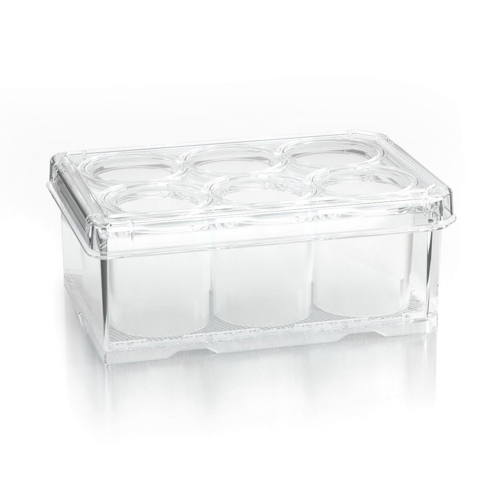 Wilson Wolf G-Rex 6 Well Cell Culture Plate 80240M