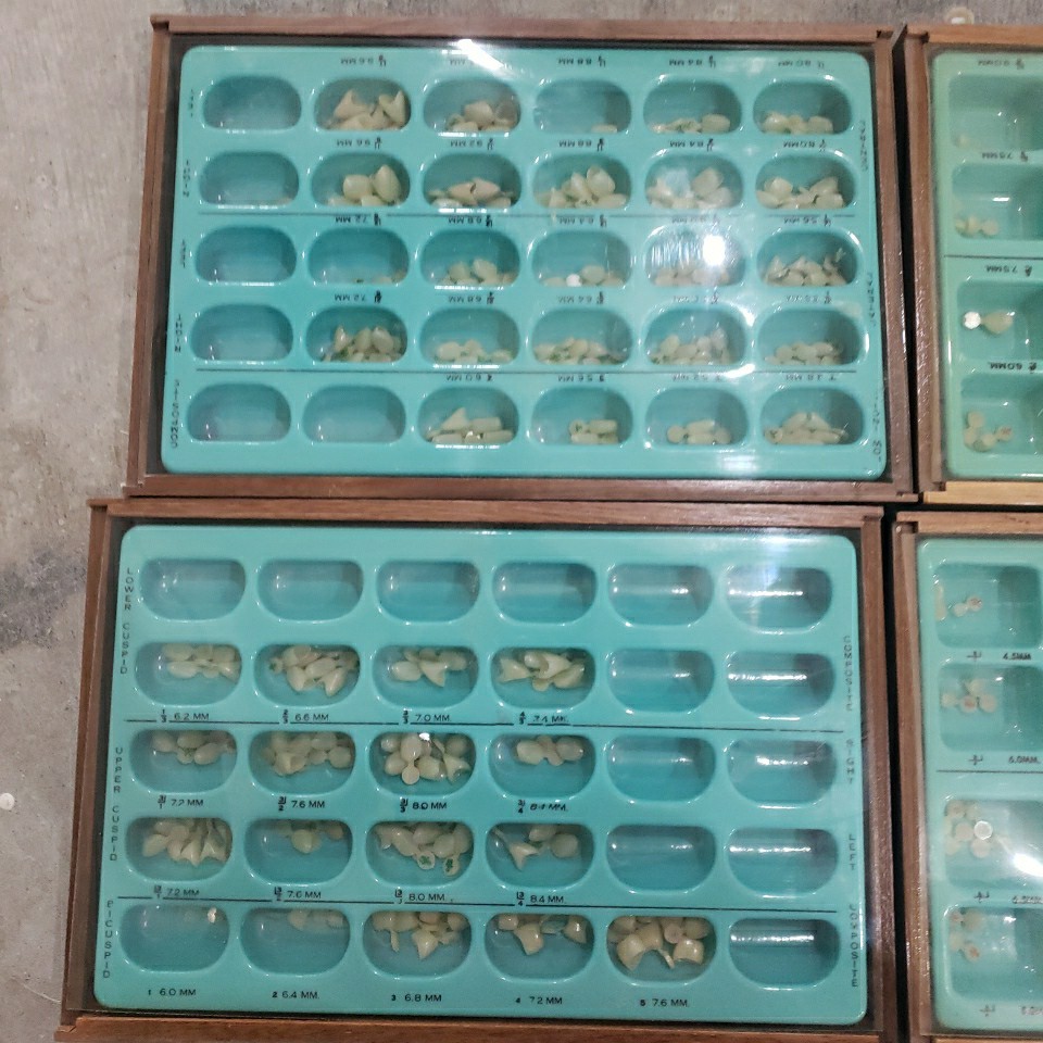 Dental Wood Cabinet With 100’s of Polycarb & Transparent Plastic Crown Forms