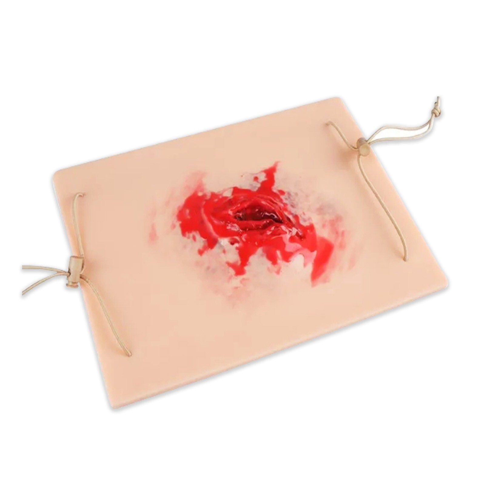 Trauma Training Model With Realistic Wound Emergency Medical Education Practice
