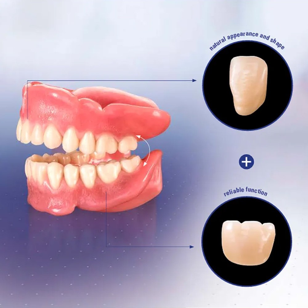 Rubydent CompacZahn Acrylic Denture Teeth A2 (Set of 28) Free Shipping