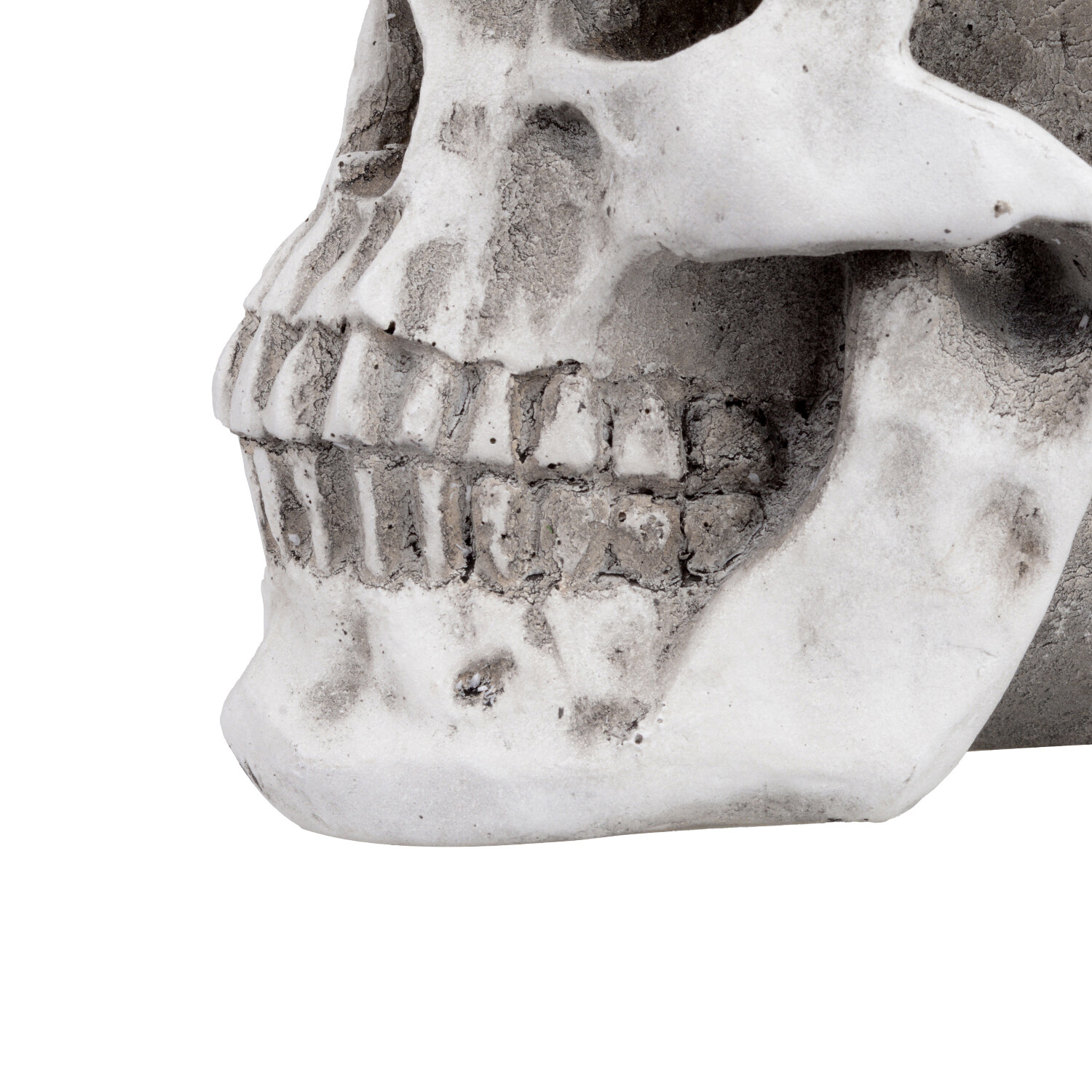 Retro Human Skull Replica Resin Anatomical Model Medical Life Size Realistic 1:1