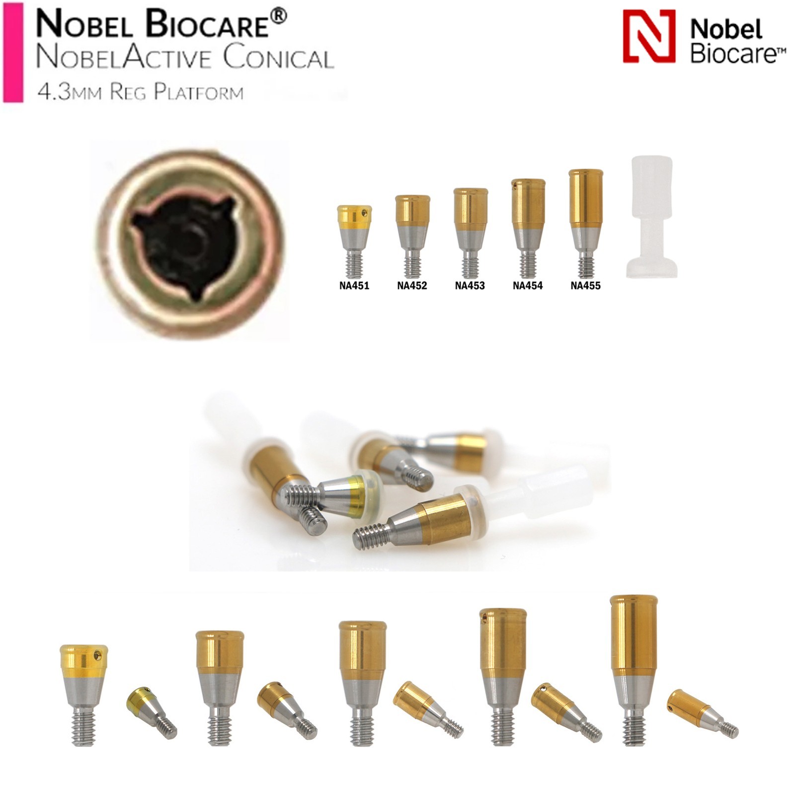 US Dental ZEST Locator Tapered Abutment Nobel Active NP & RP Conical Connection