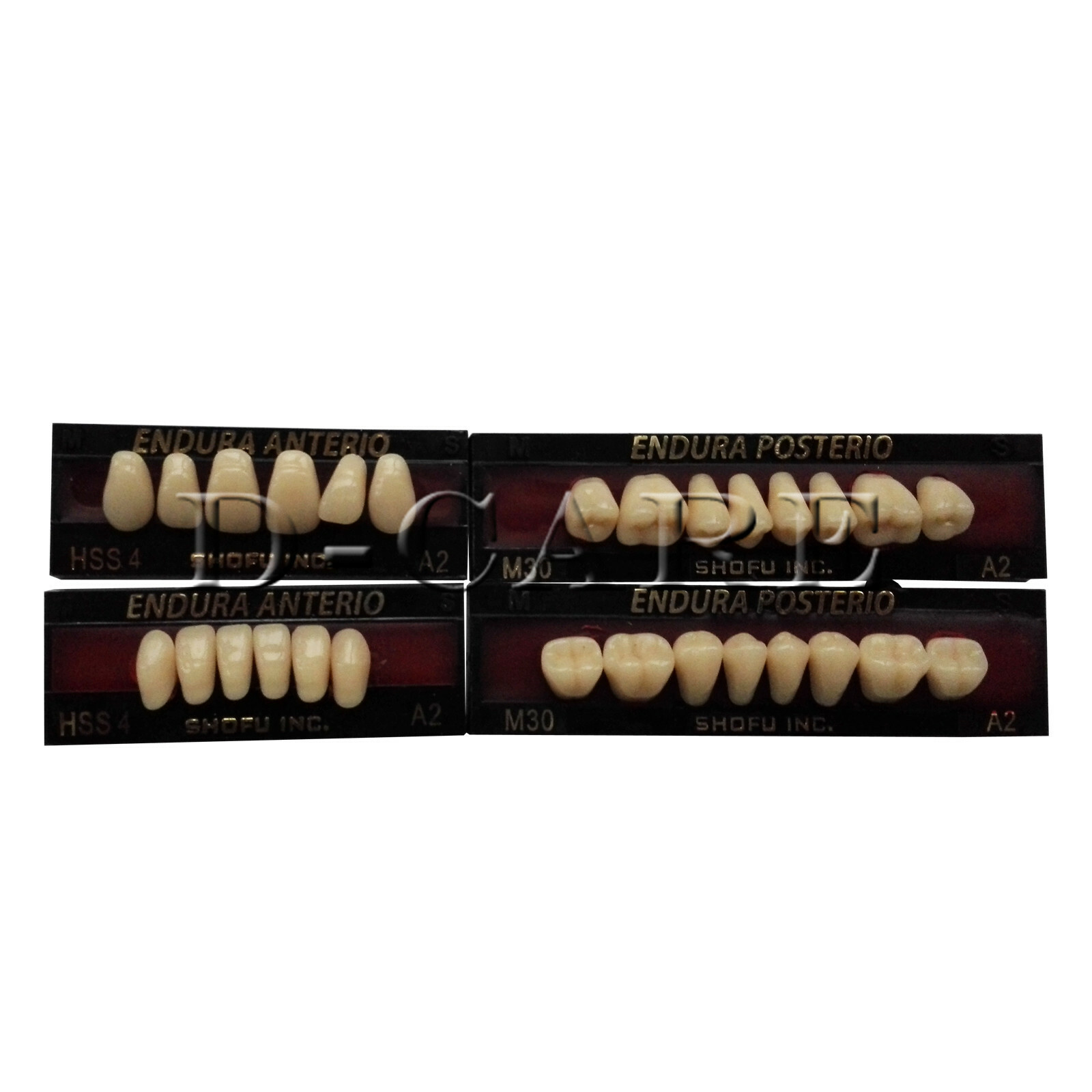 SHOFU ENDURA Dental Denture False Teeth Resin A2 M30 M32 Plastic DC