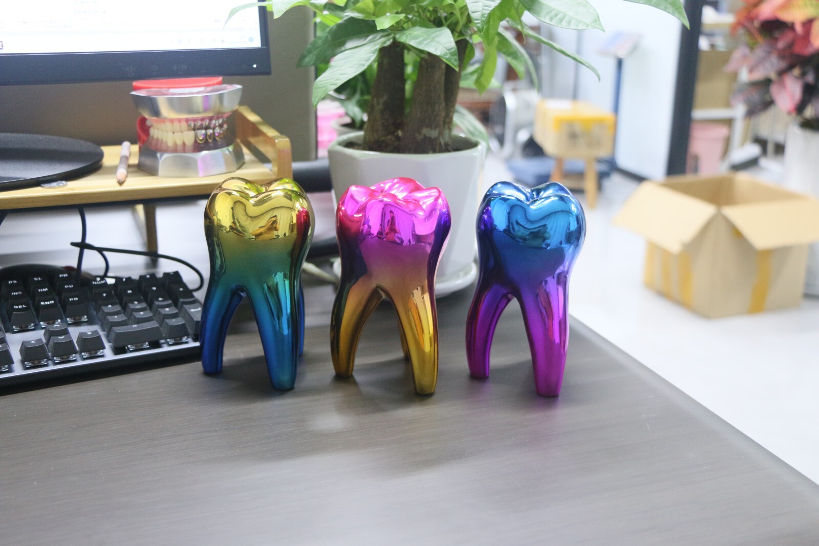 Dental Typodont & Implant Models – Educational, Pathology, Restoration Training