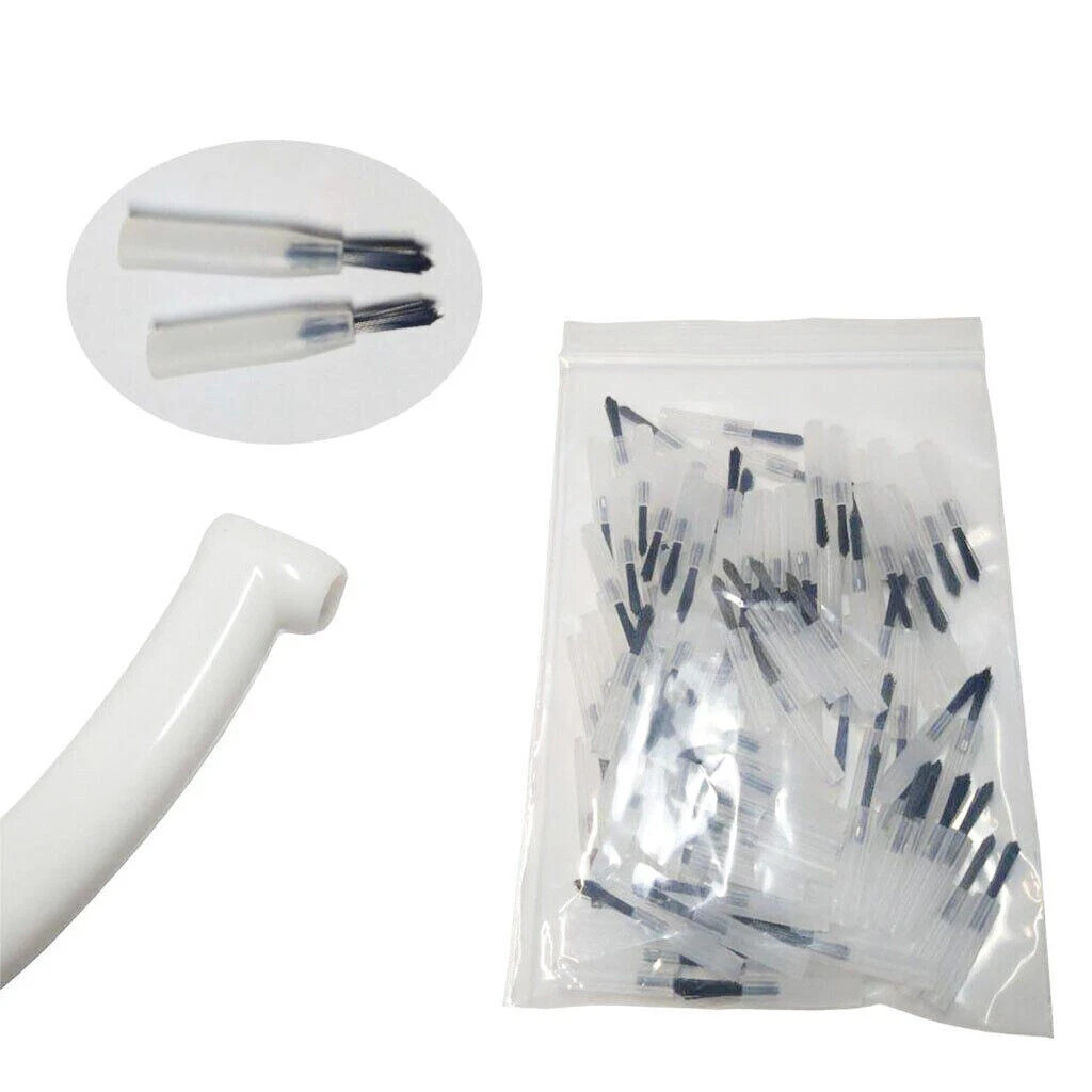 1000 Pcs Disposable Dental Composite Brush Tips+10 Pcs Composite Brushes Handles