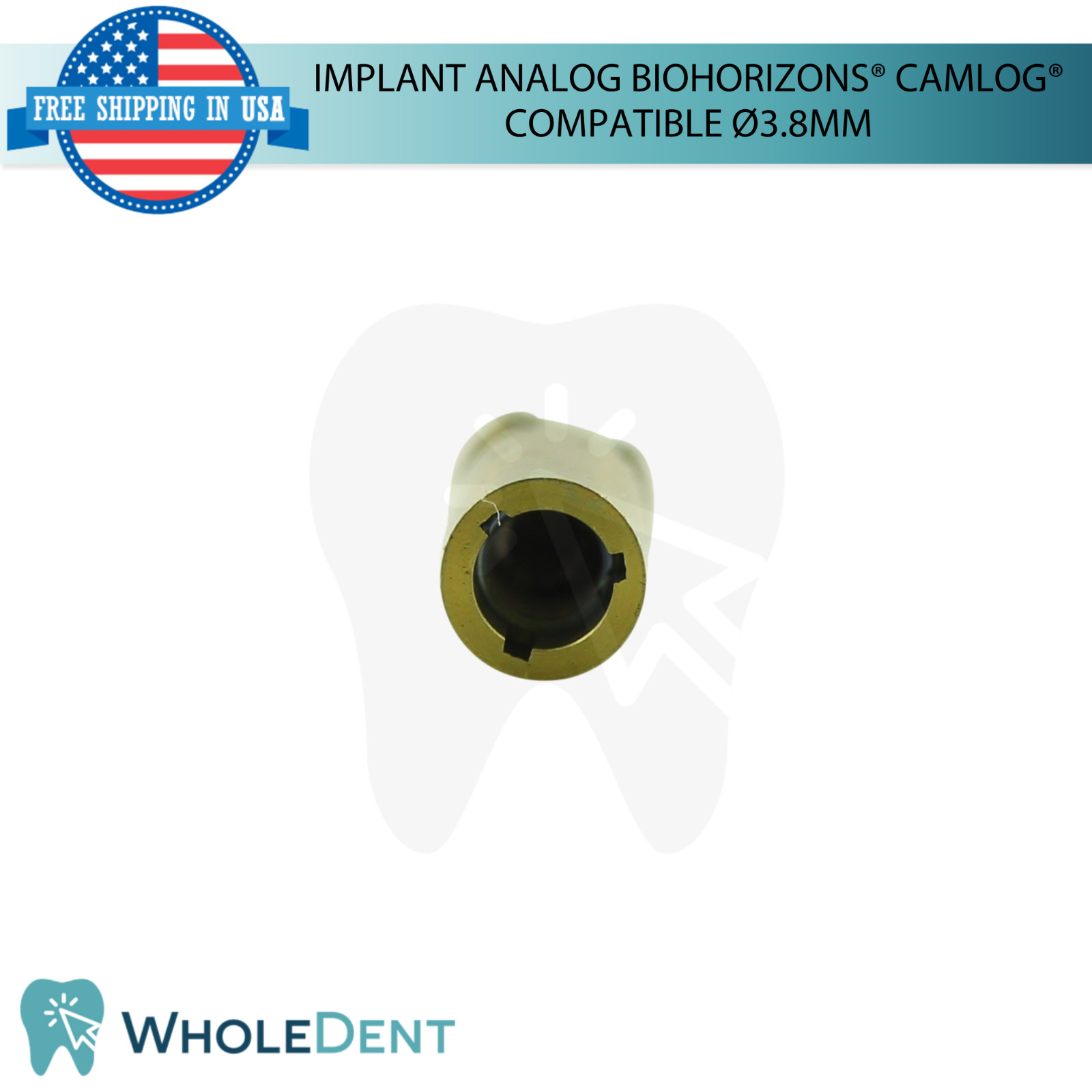 5 Dental Fixture Analog BioHorizons® CAMLOG® Compatible Ø3.8mm Platform Lab