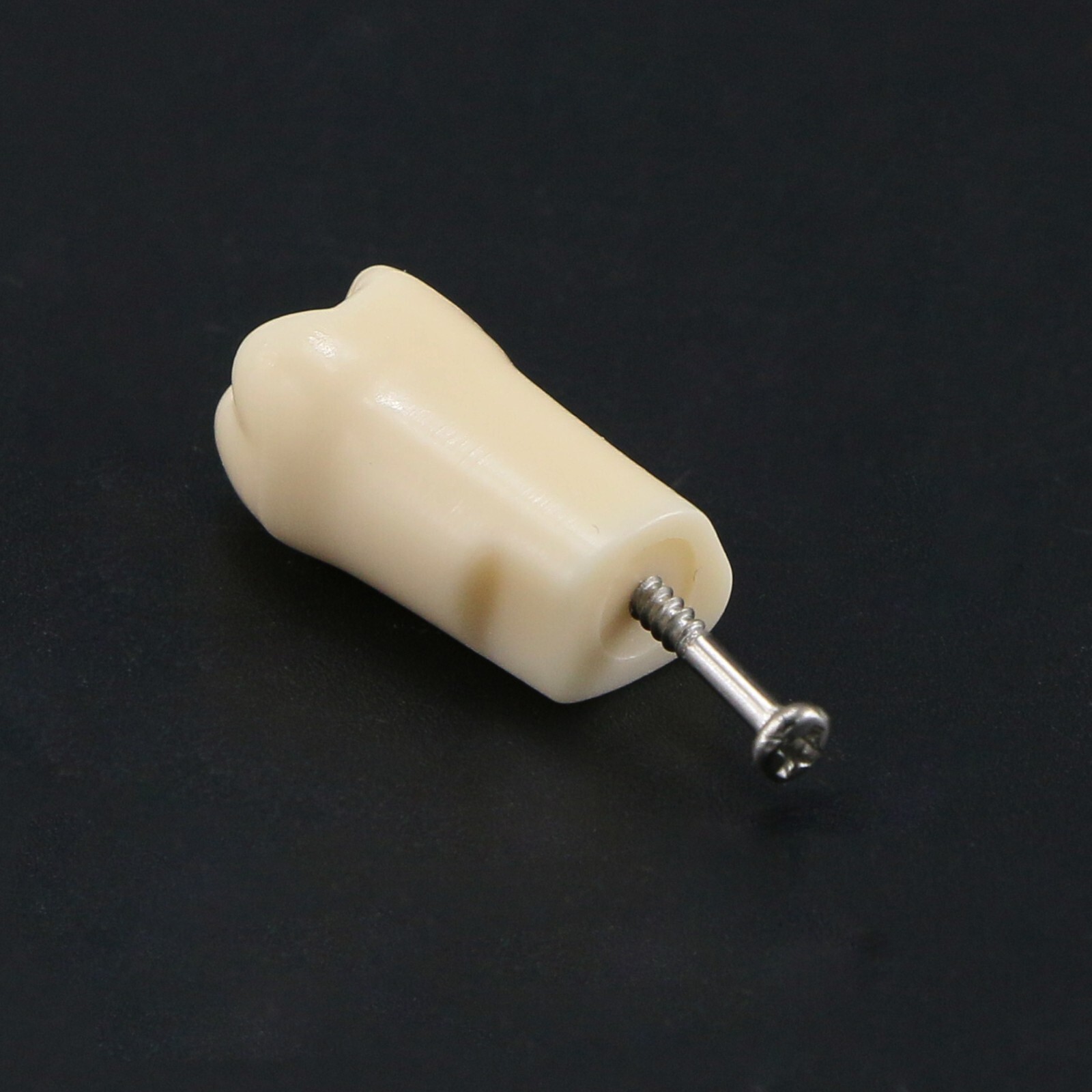 Dental Replacement Screw-in Teeth Typodont Model fit Kilgore NISSIN 200/500 Type
