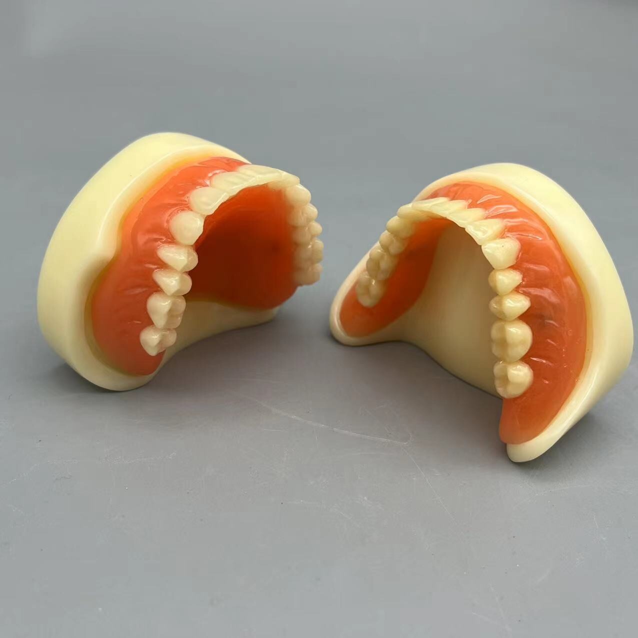 Dental 2 Implants Overdenture Typodont Restoration Upper Lower Lower Teeth Model