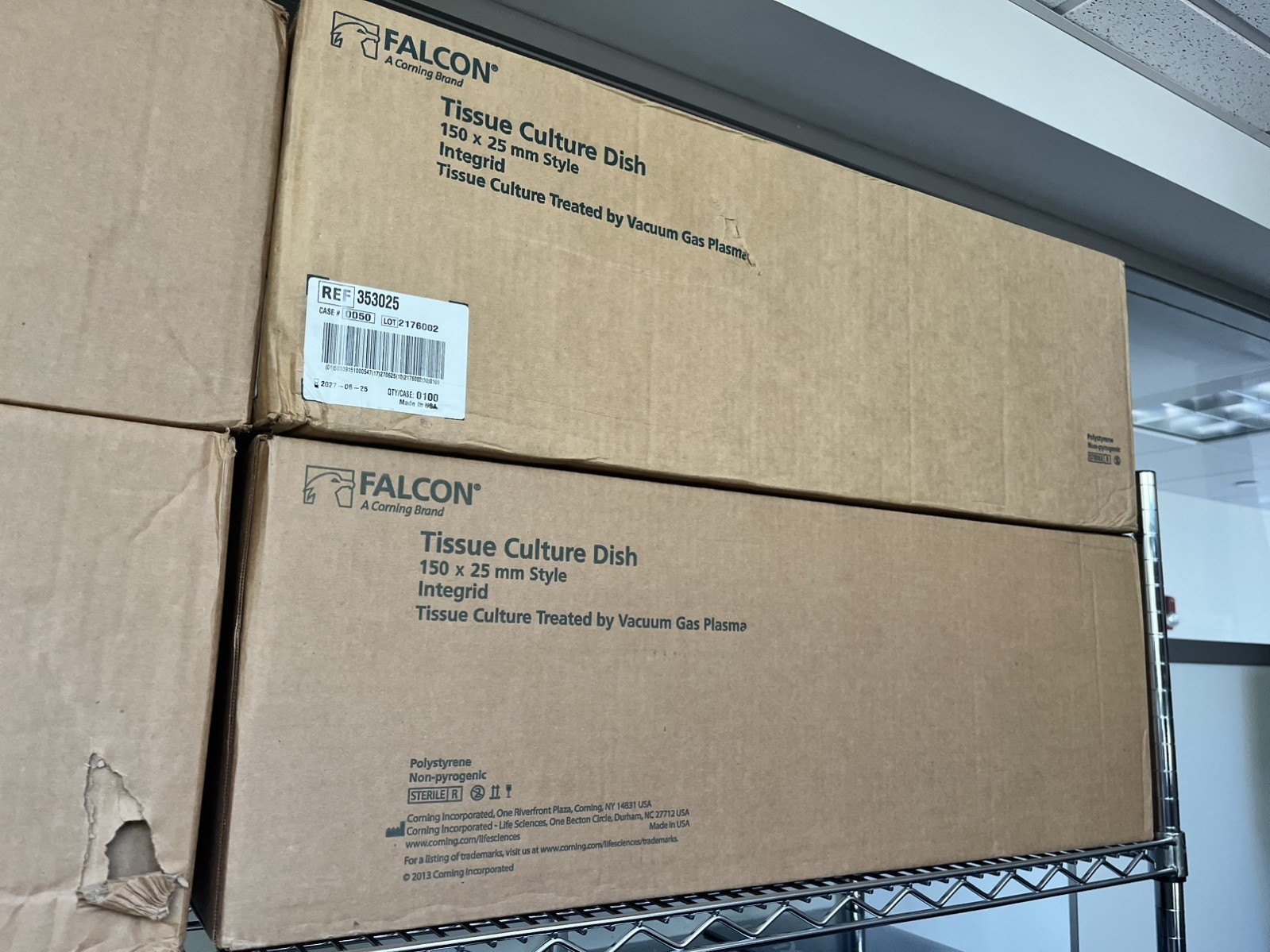100pc FALCON Polystyrene Tissue Culture Dish w/Grid 150x25mm 353025 INTEGRID