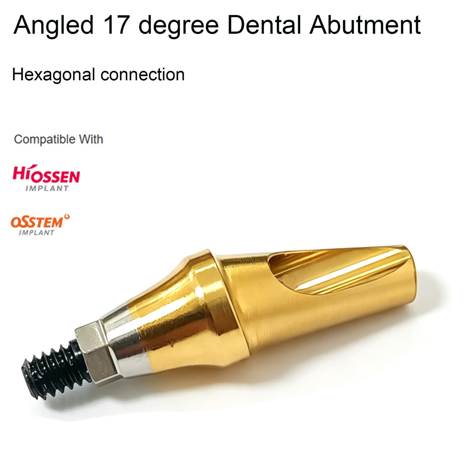 US Dental 17° Angled Anatomic Cemented Abutment for Hiossen ET OSS Regular Mini