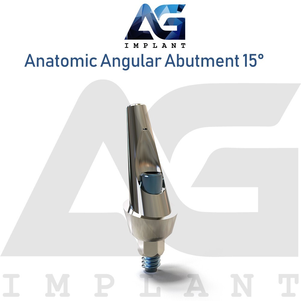 10 Anatomic Angular Prosthetic 15° Aesthetic Titanium Int Hex 2.42mm