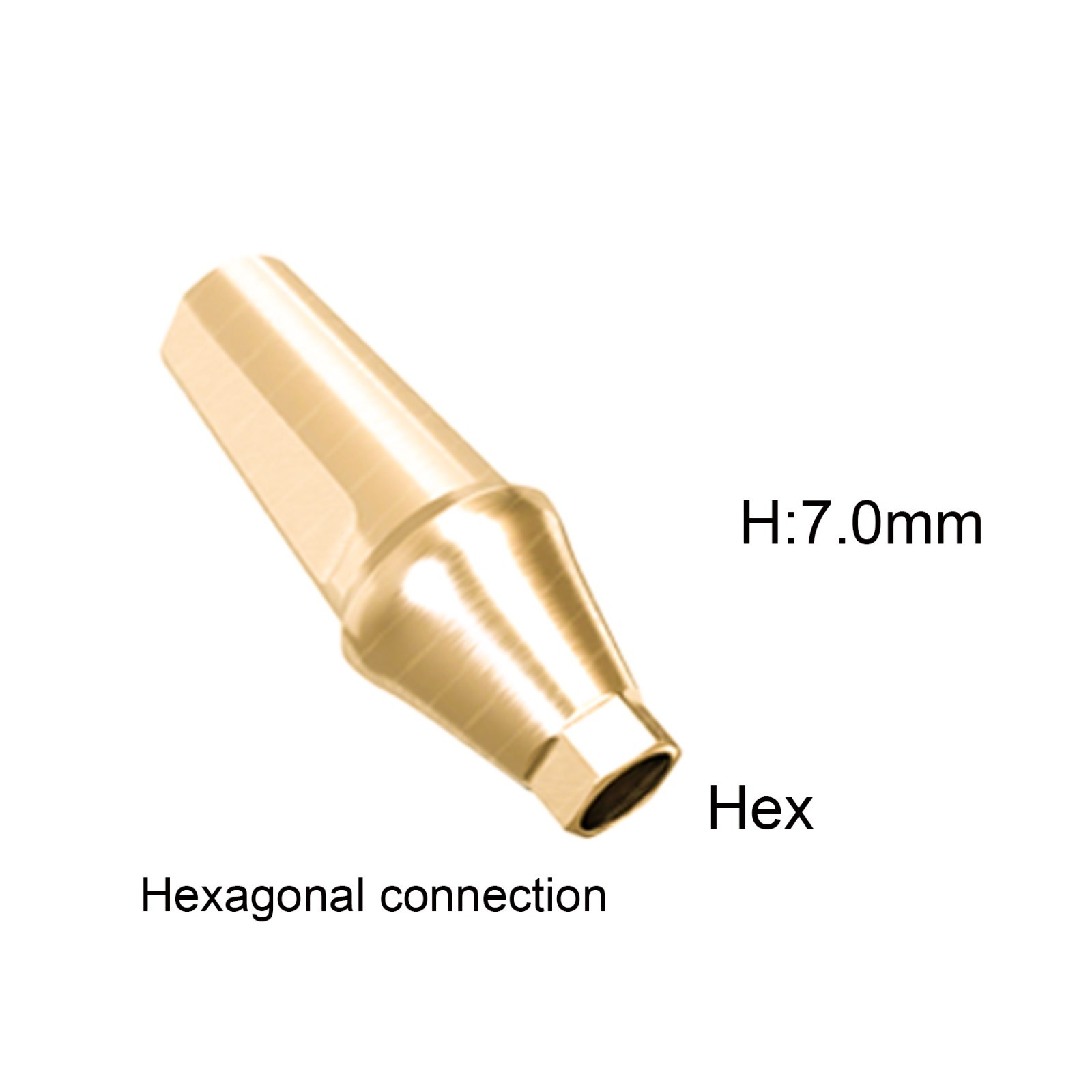 Dental Titanium Cemented Straight Abutment Fit Hiossen ET Regular Hex Platform