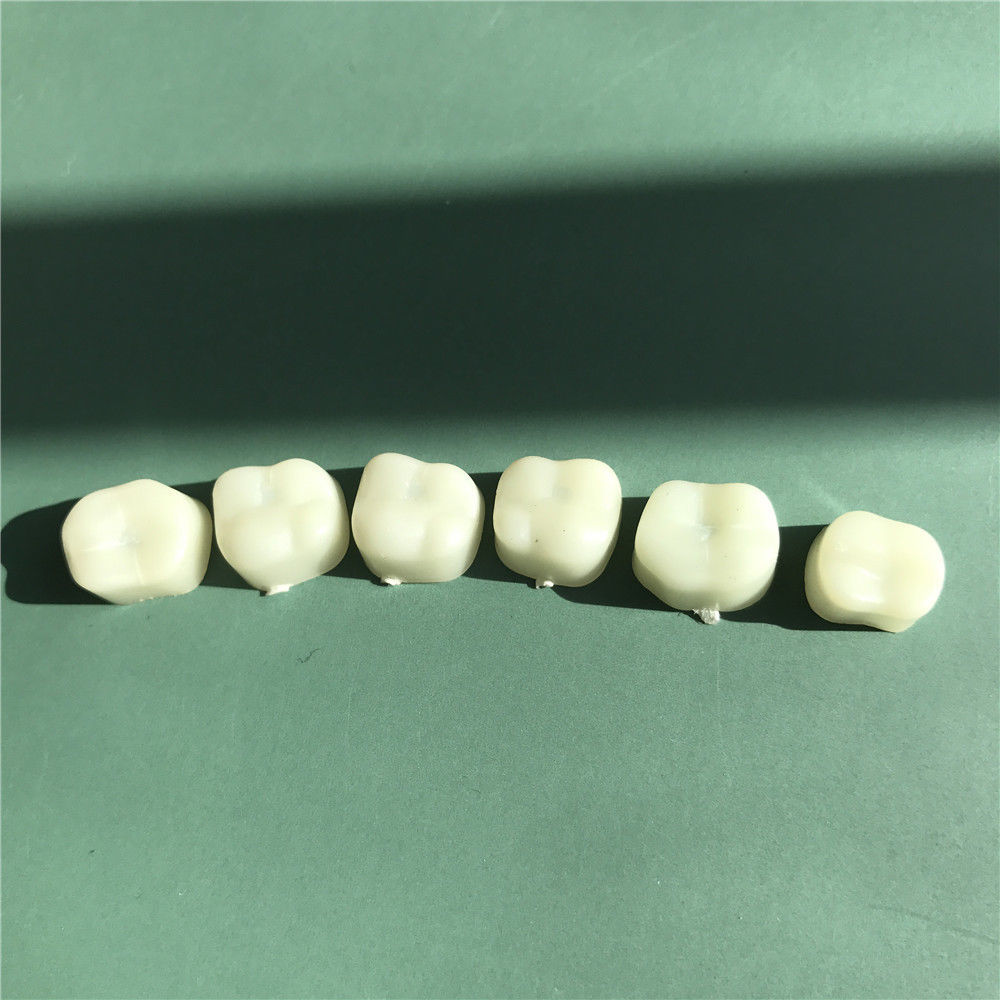1 Pack Dental Temporary Crowns Posteriors Molar Resin Tooth Polycarbonate Caps