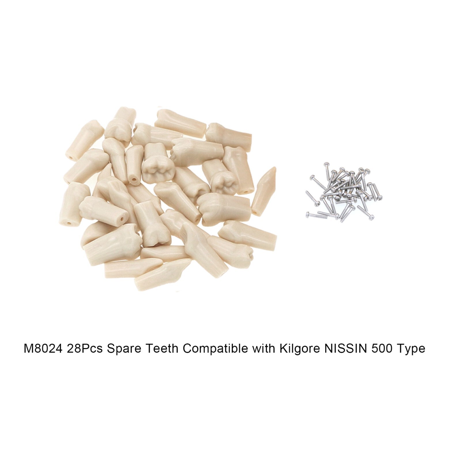 Dental Replacement Screw-in Teeth Typodont Model fit Kilgore NISSIN 200/500 Type