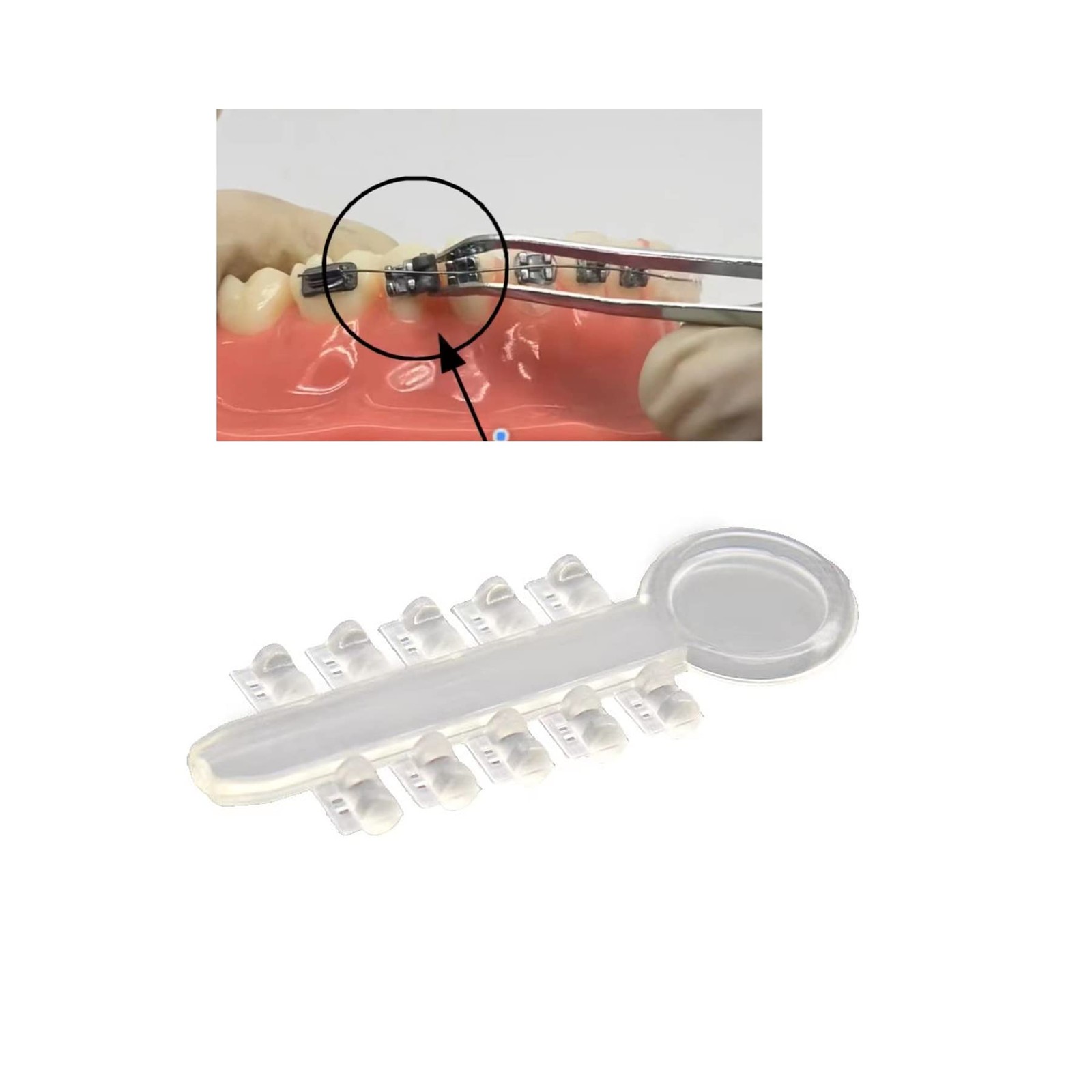 200pcs Orthodontic Rotation Wedges Elastic Rubber Bands Ligature Rotary Clear