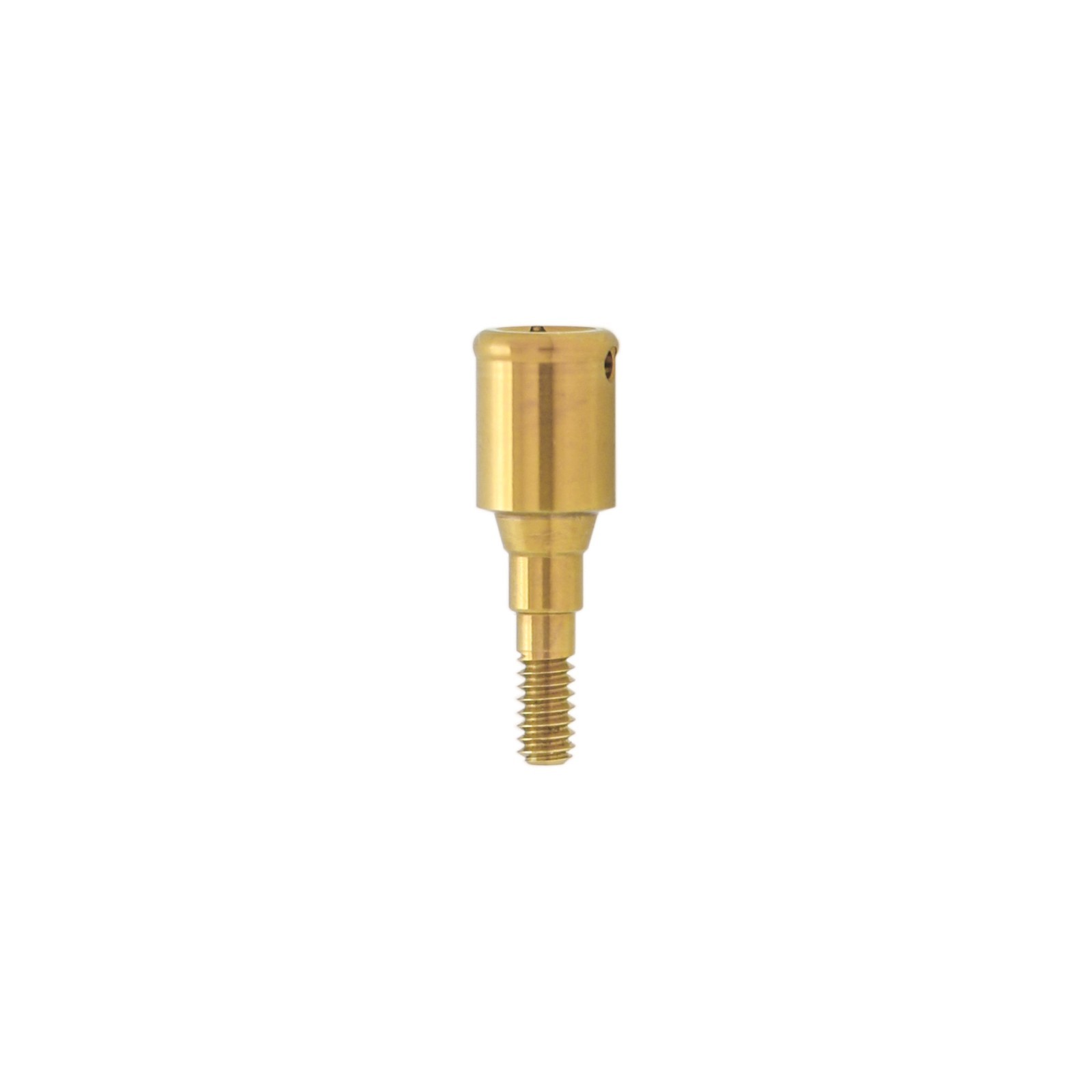 Overdenture LOCATOR Straumann NC Abutments 1-6mm GH For ITI Straumann BL/BLT