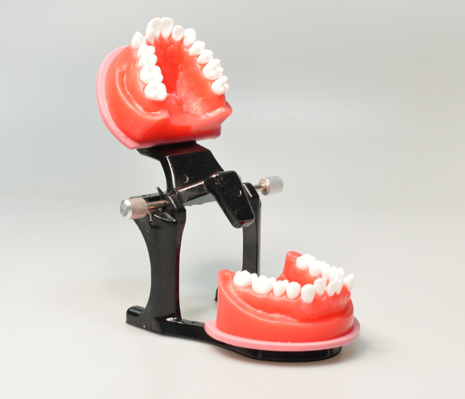 Reusable Dental Practical Study Training Model/typodont/orthodontics Wax Model