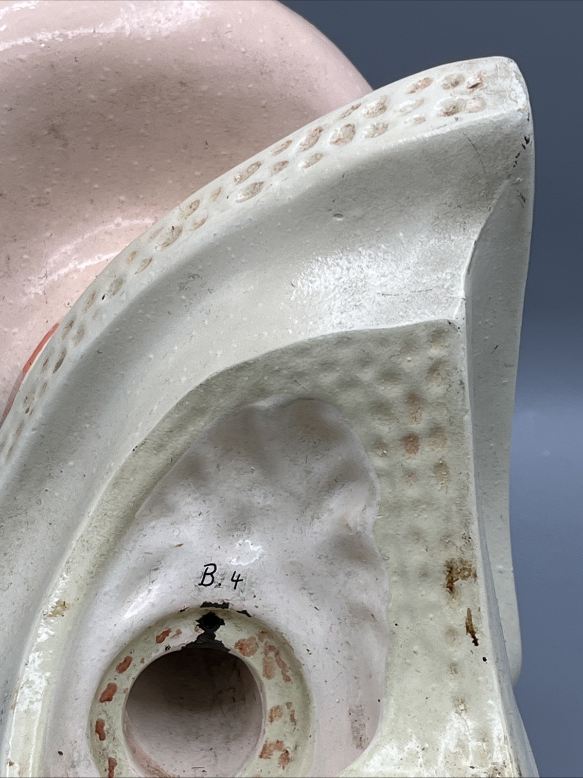 Denoyer Geppert Large Ear Anatomical Teaching Model Vintage