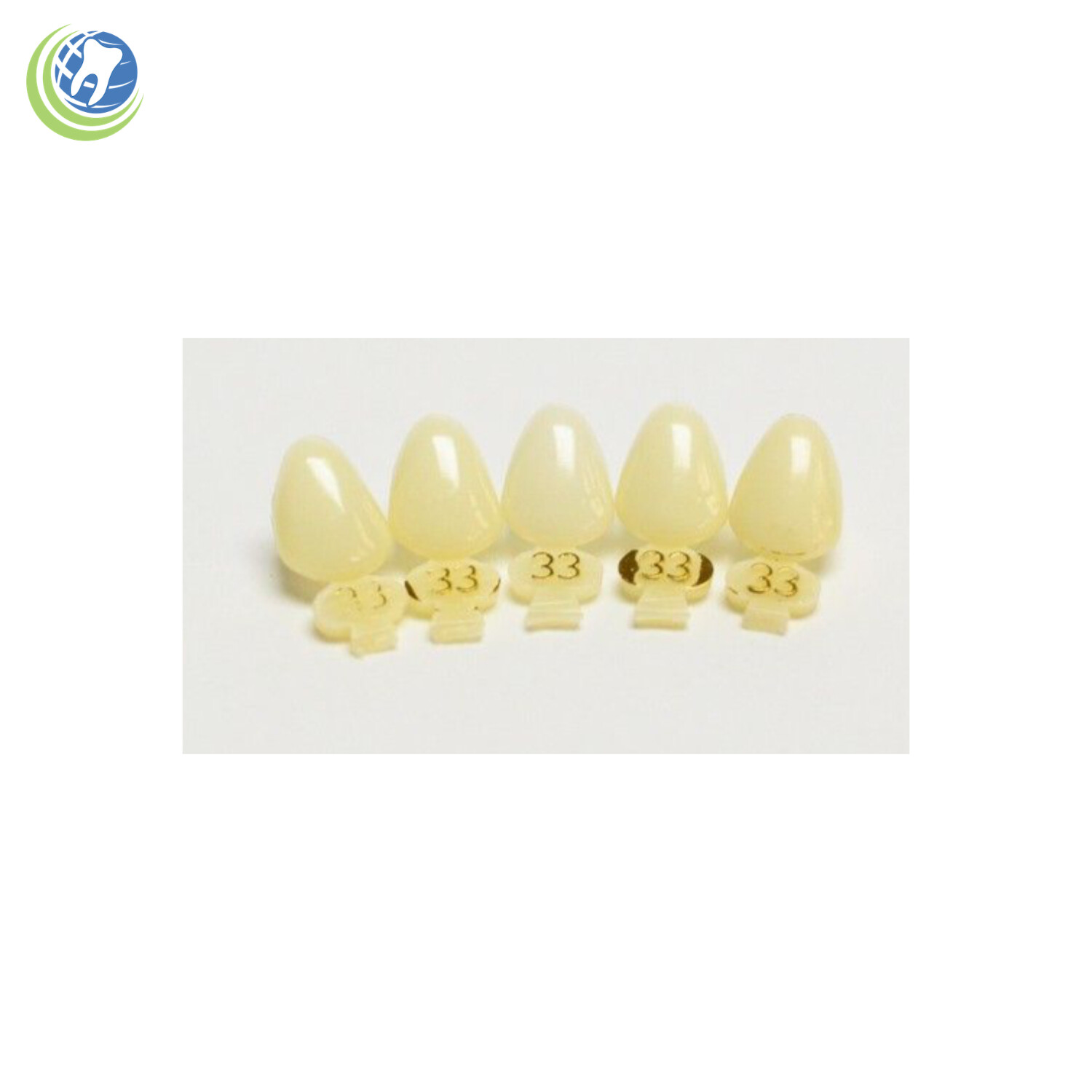 Tooth #6 or #27 Upper or Lower Right Cuspid Polycarbonate Crowns Cap Refills