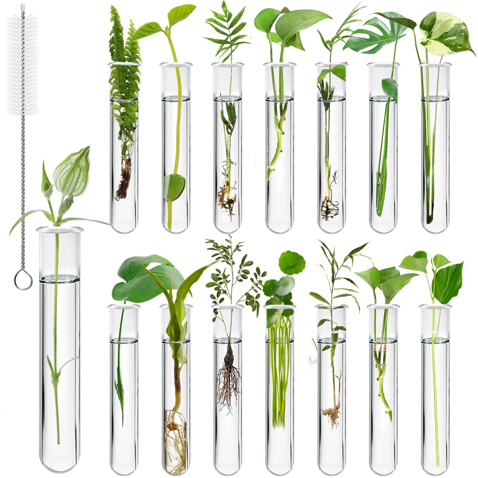 15pc Clear Plant Propagation Tubes Acrylic Test Tube for Flowers Hydroponic Vase