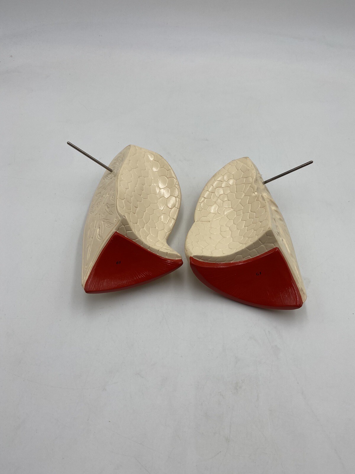 Denoyer Geppert Anatomical Model – Torso Lung Replacement Parts