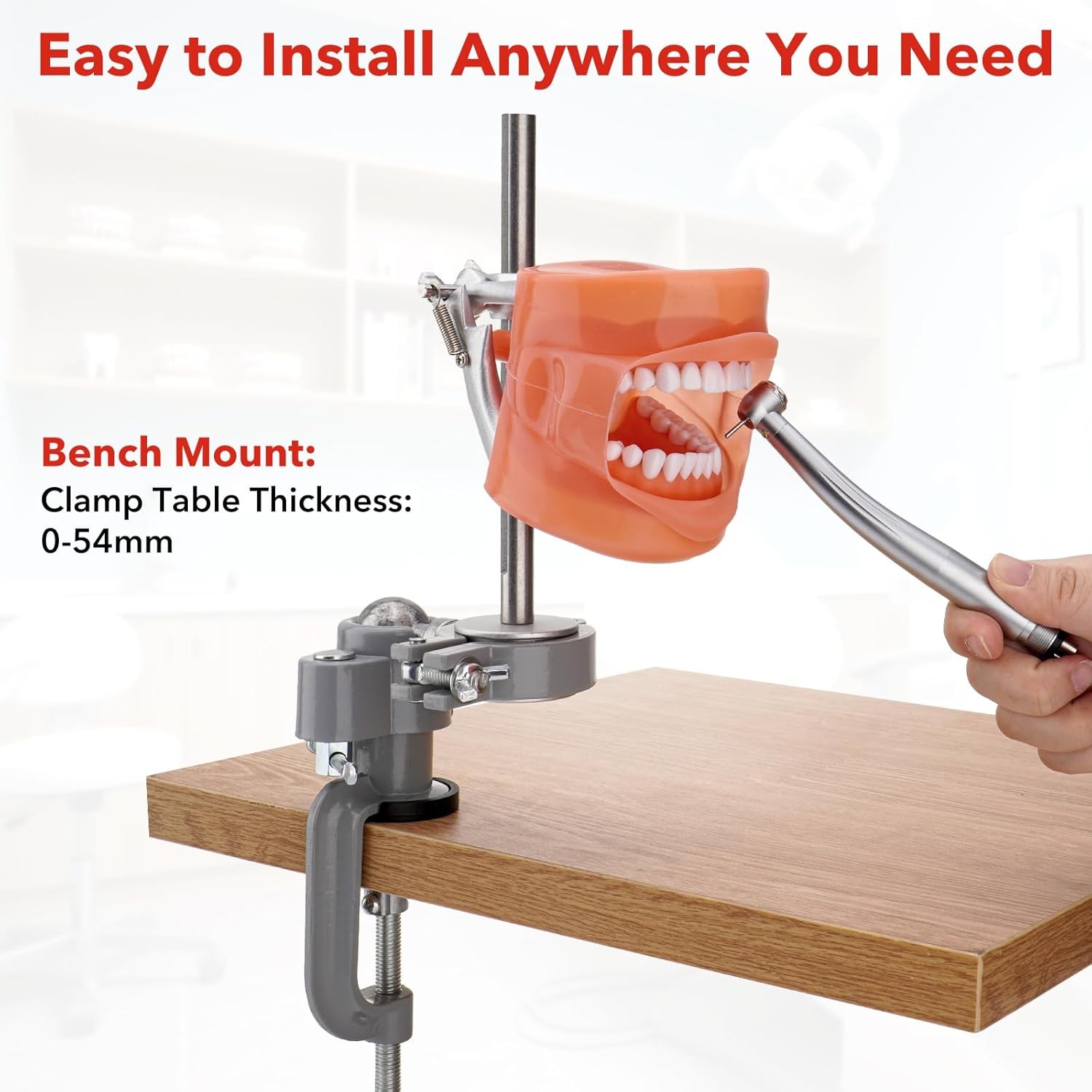 Dental Typodont Teeth Model Dental Simulator Dental Head Model 360° Rotating New