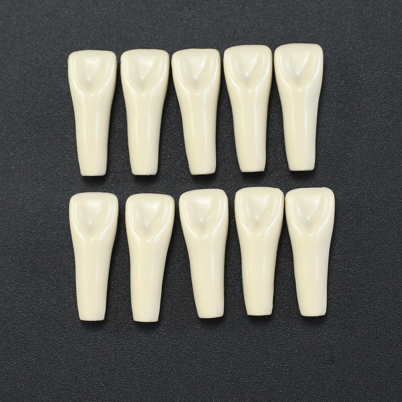 10/lot Columbia 860 Kilgore NISSIN Individual Dental Typodont Teeth Replacement