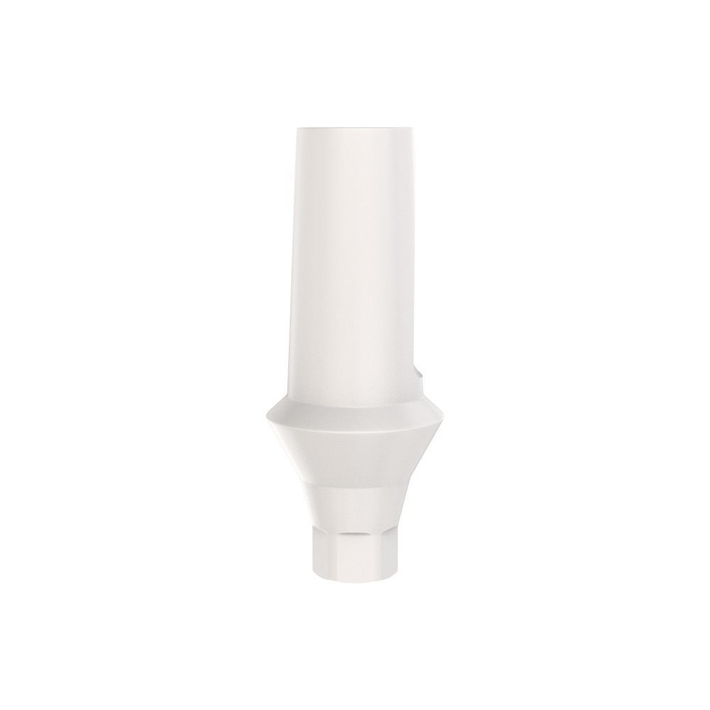 1pcs DSl Straight Abutment Anatomic Peek Conical Connection NP Dental Lab