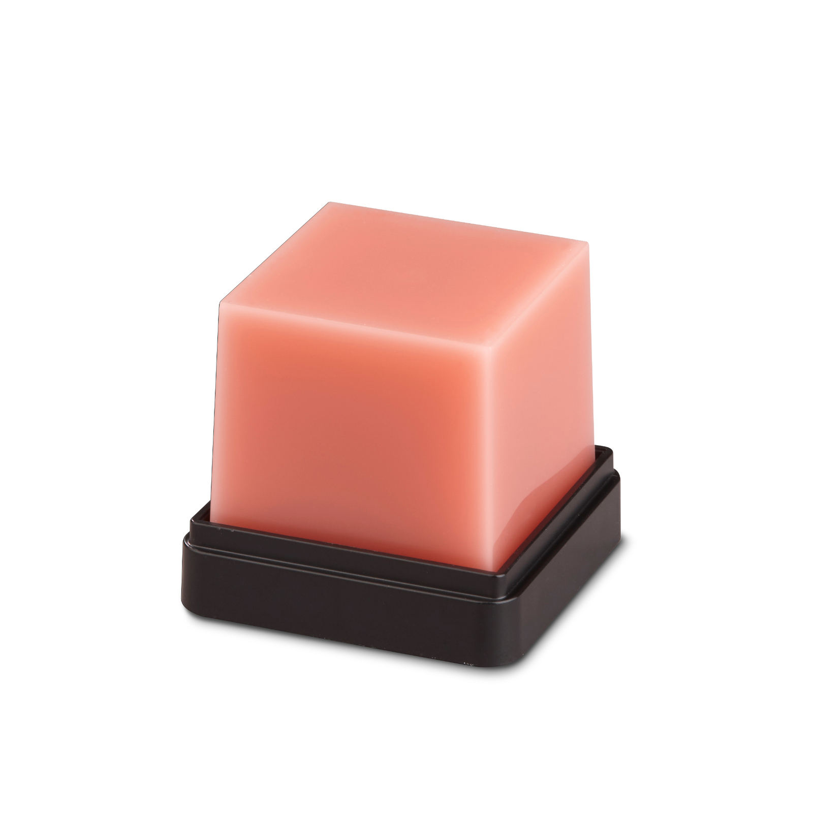 Renfert GEO Expert Gingiva pink A. Bruguera modeling wax 40g REF 6340700