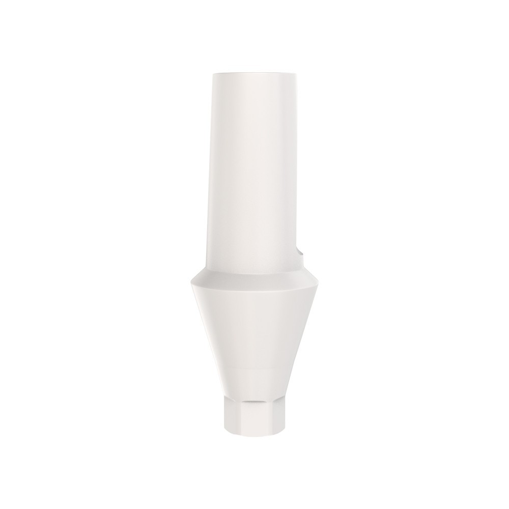 1pcs DSl Straight Abutment Anatomic Peek Conical Connection NP Dental Lab