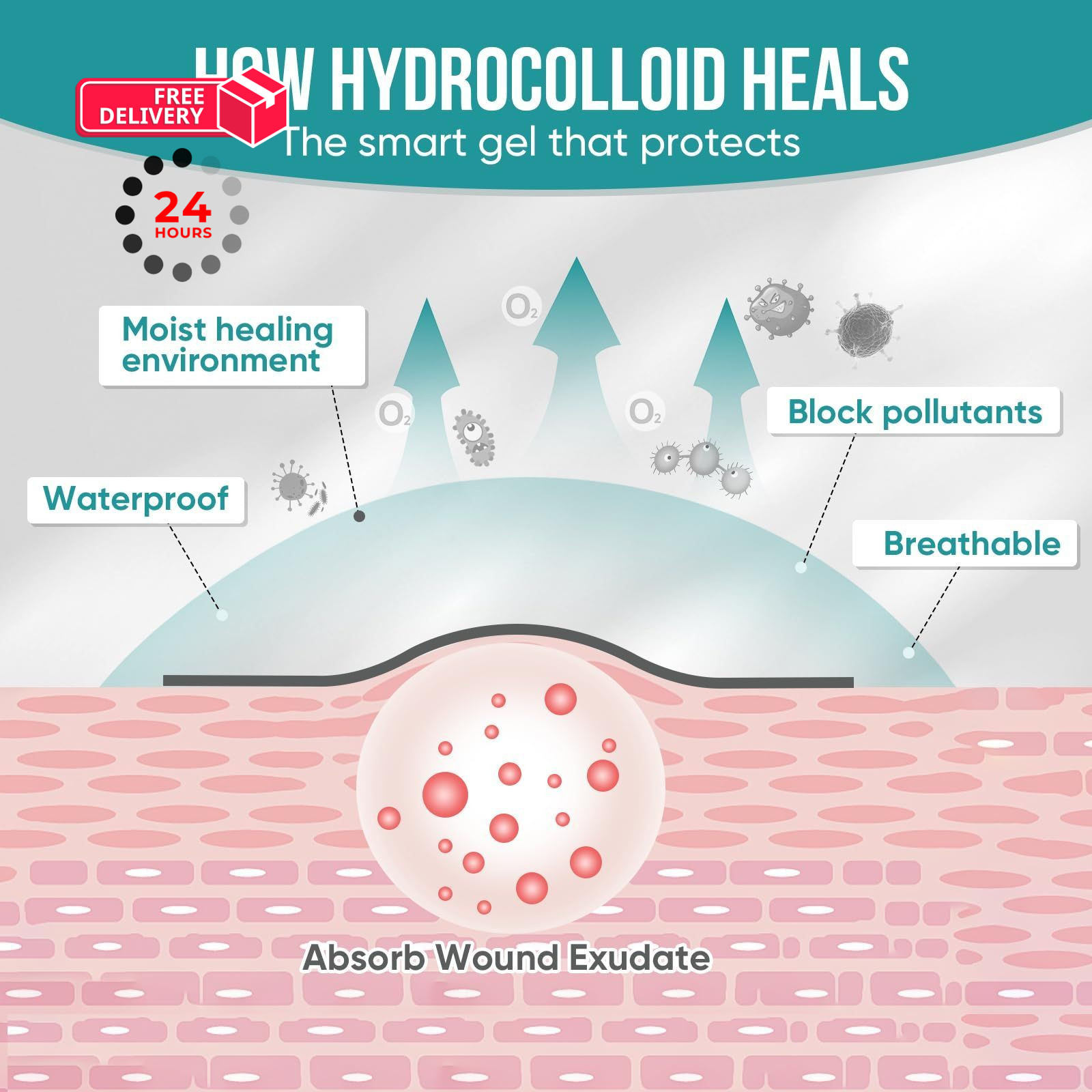 Hydrocolloid Roll for Wound Care, Patch 2in x 12ft, Transparent