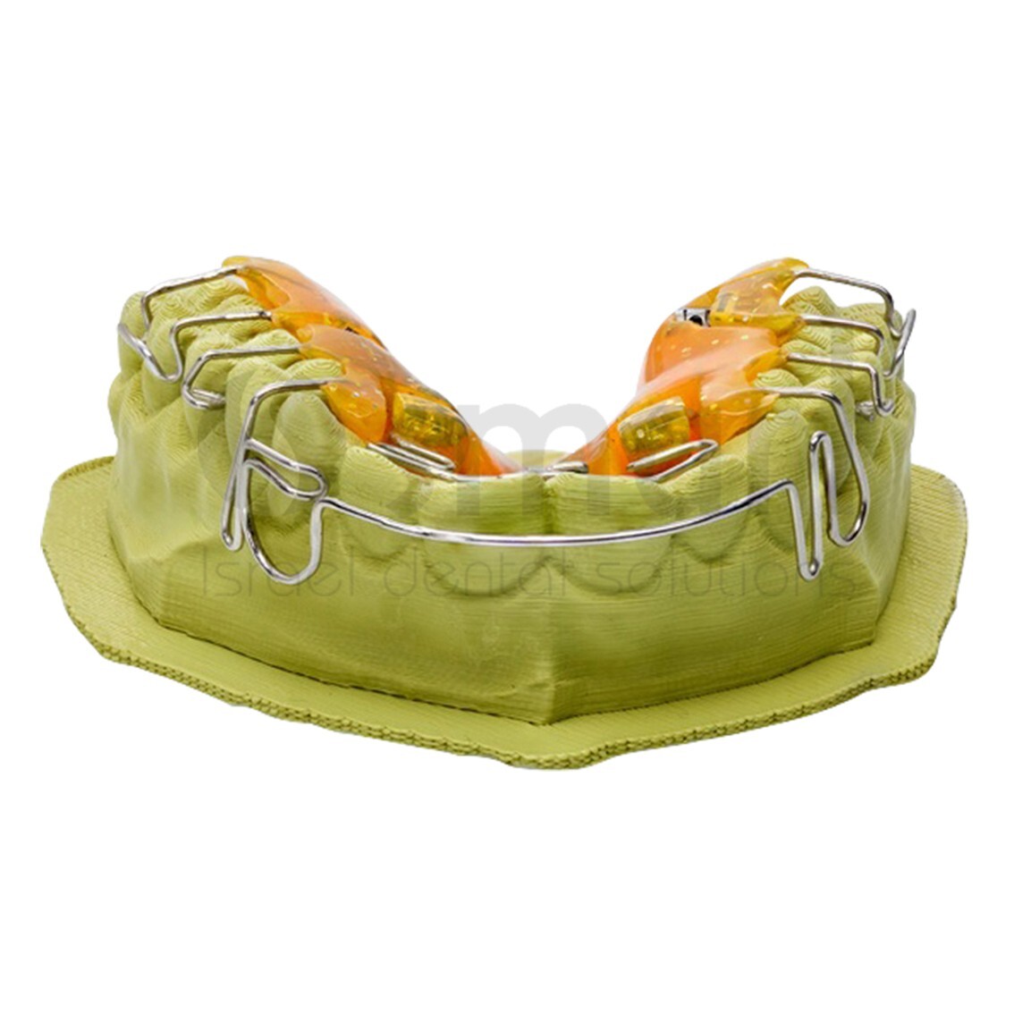 SIMPLEX filaments Working model orthodontic fabrication 800g Renfert 17350200