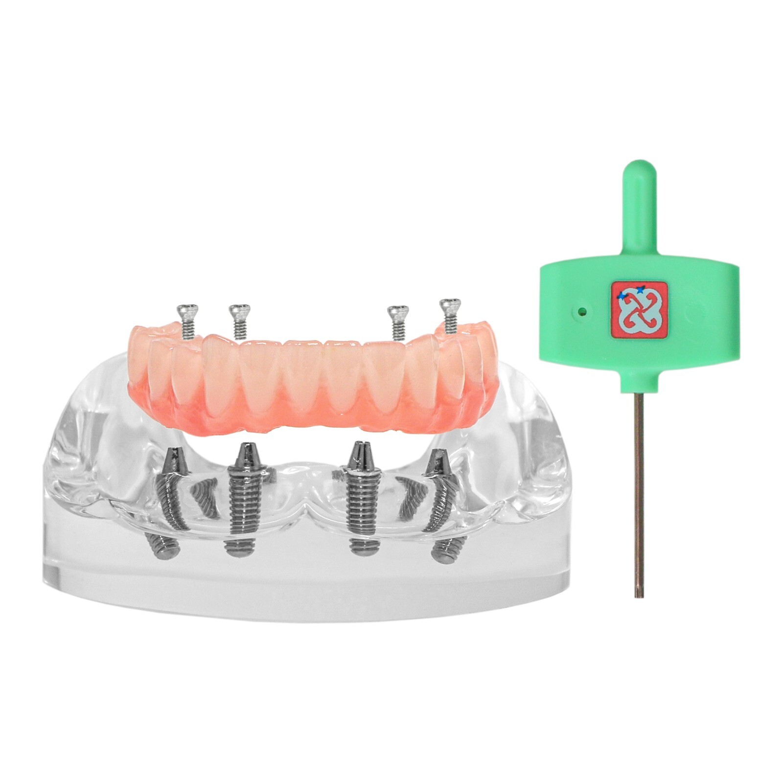 Dental Typodont Teeth Model Implant Pathological Perio Restoration Practice Demo