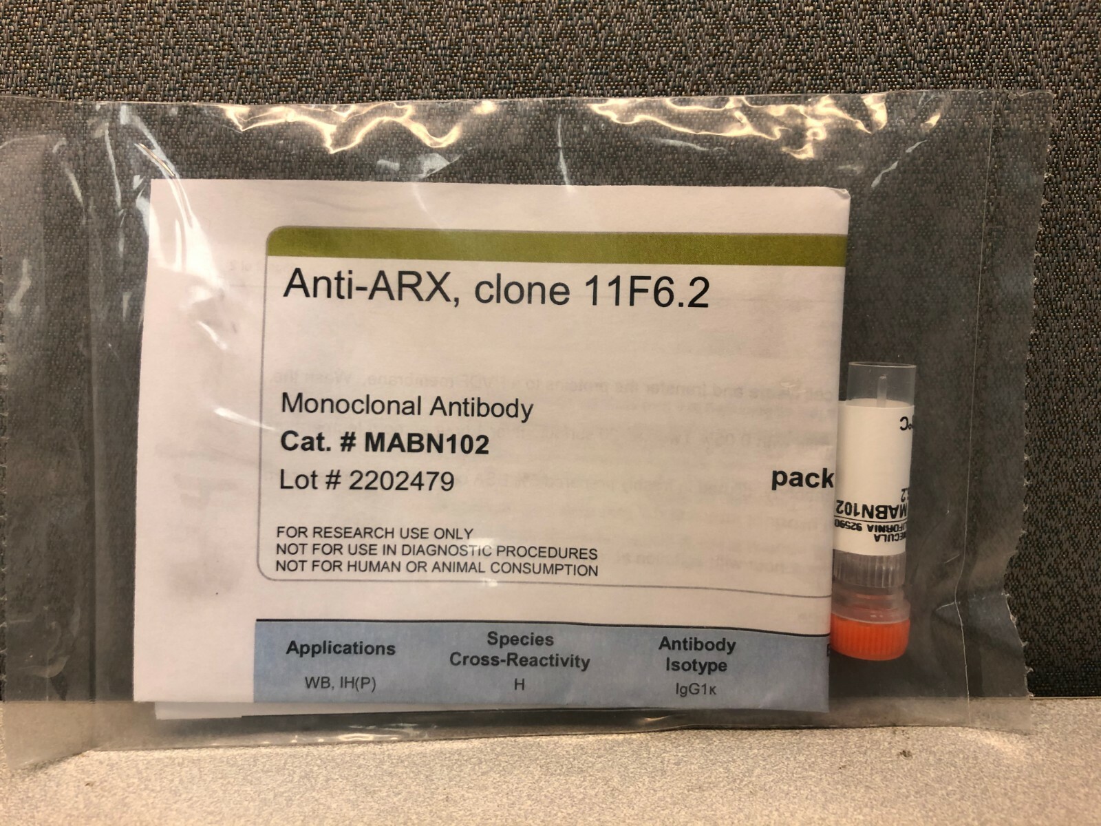 Anti-ARX Antibody clone 11F6.2 from Mouse 100 ug MABN102